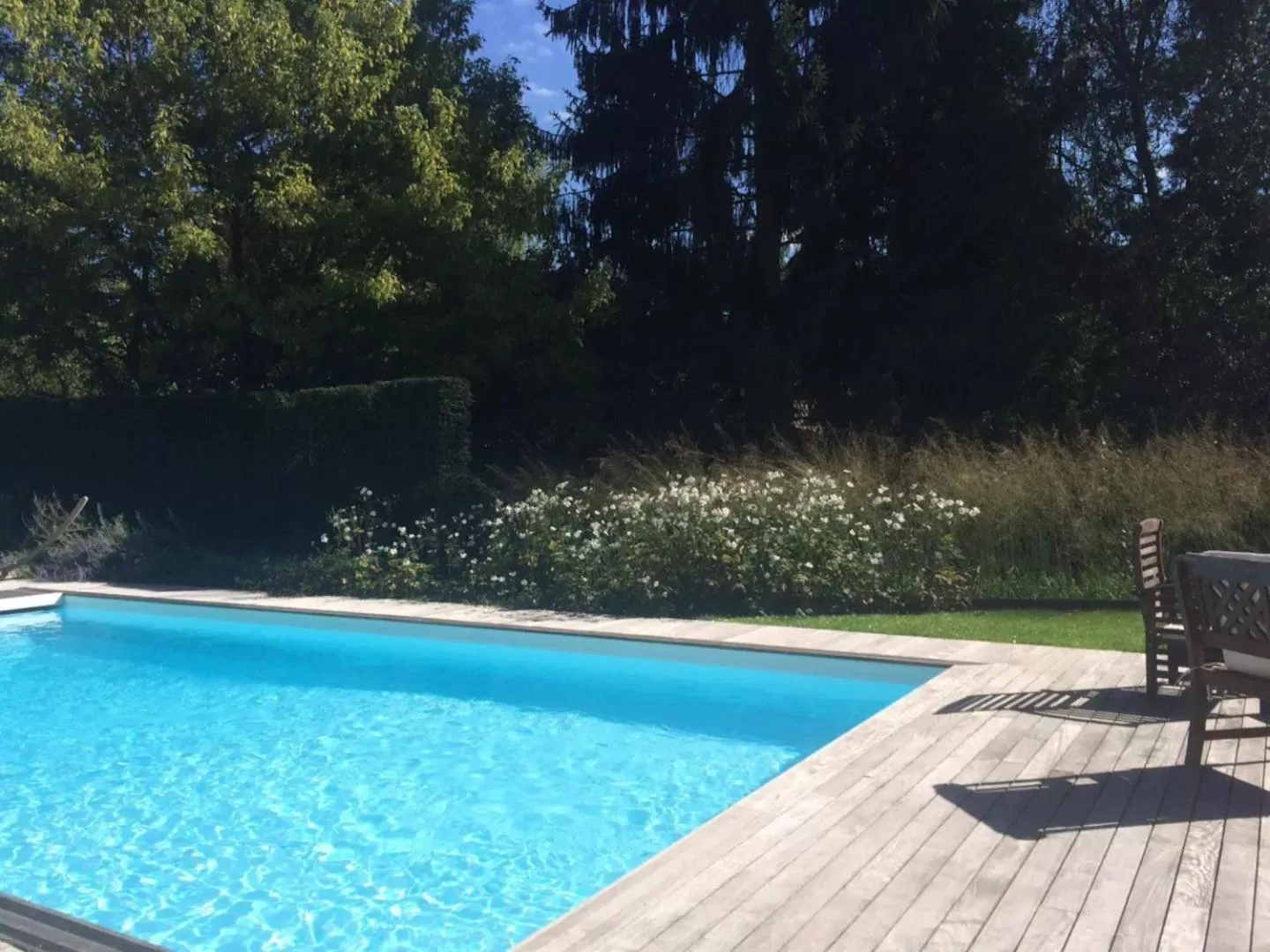Pool view in Les Glycines
