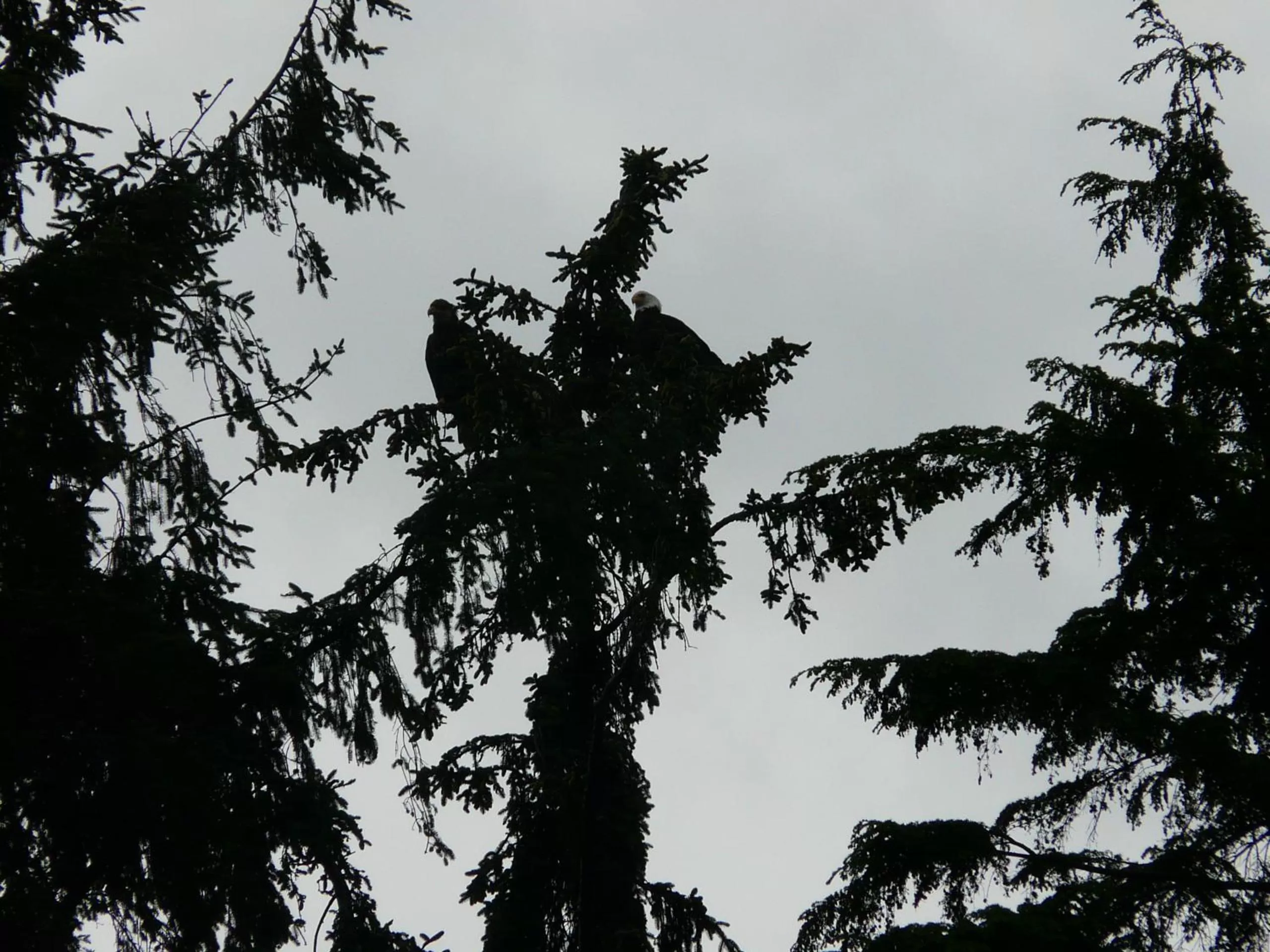 View (from property/room) in Sheltered Nook On Tillamook Bay