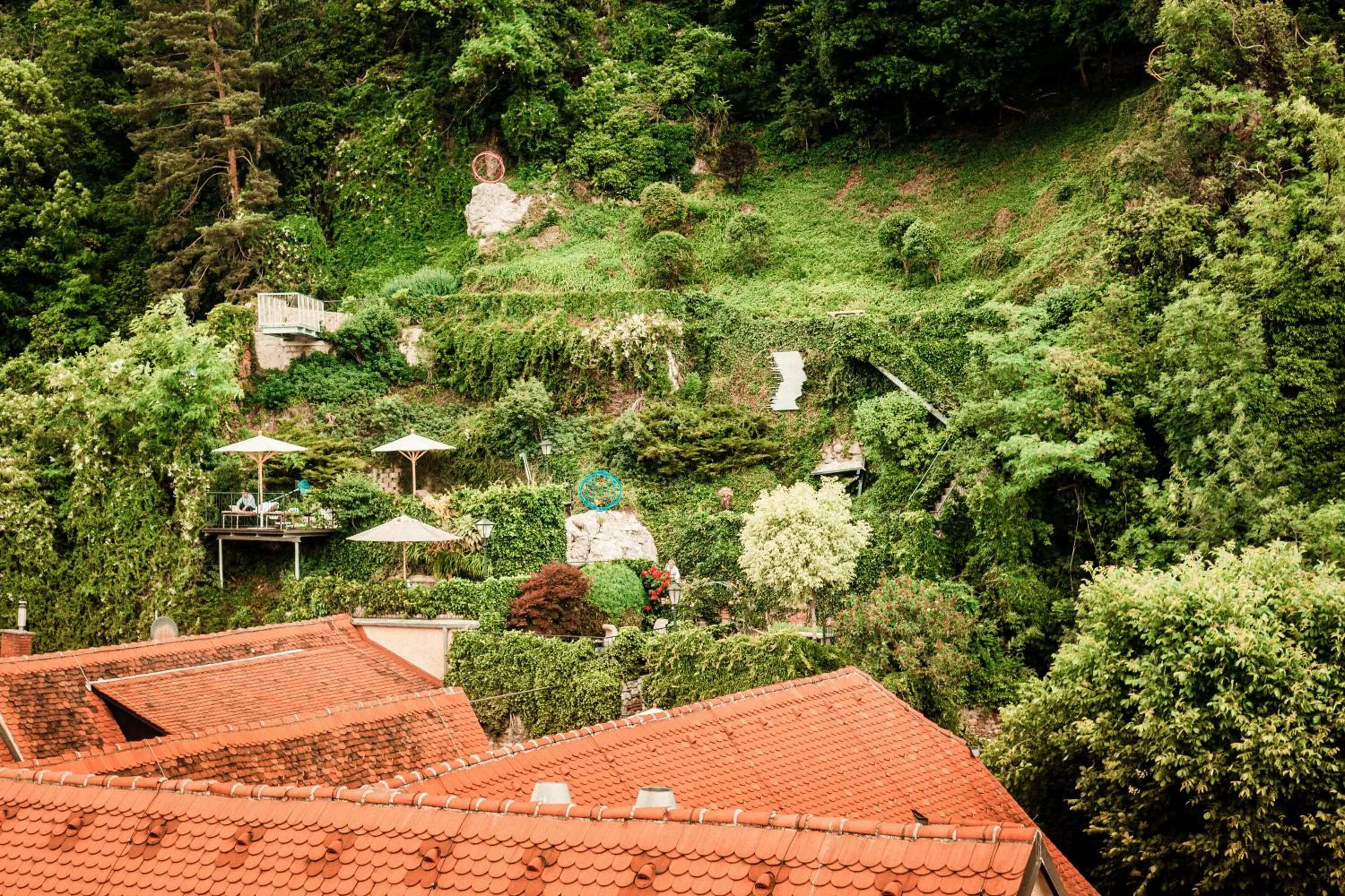 Natural landscape in Schlossberghotel