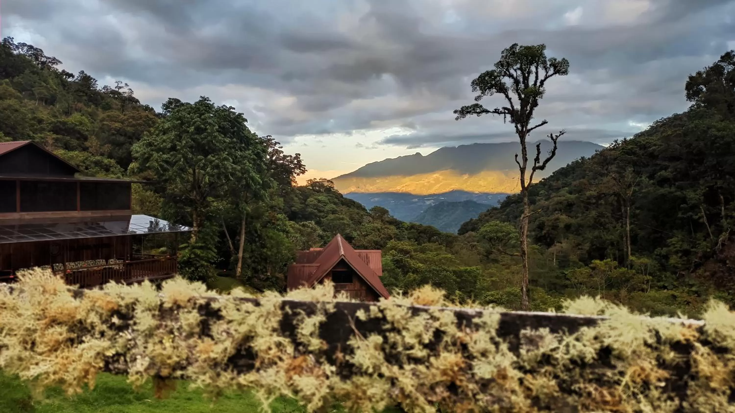 Natural landscape in TREE TREK BOQUETE Adventure Park