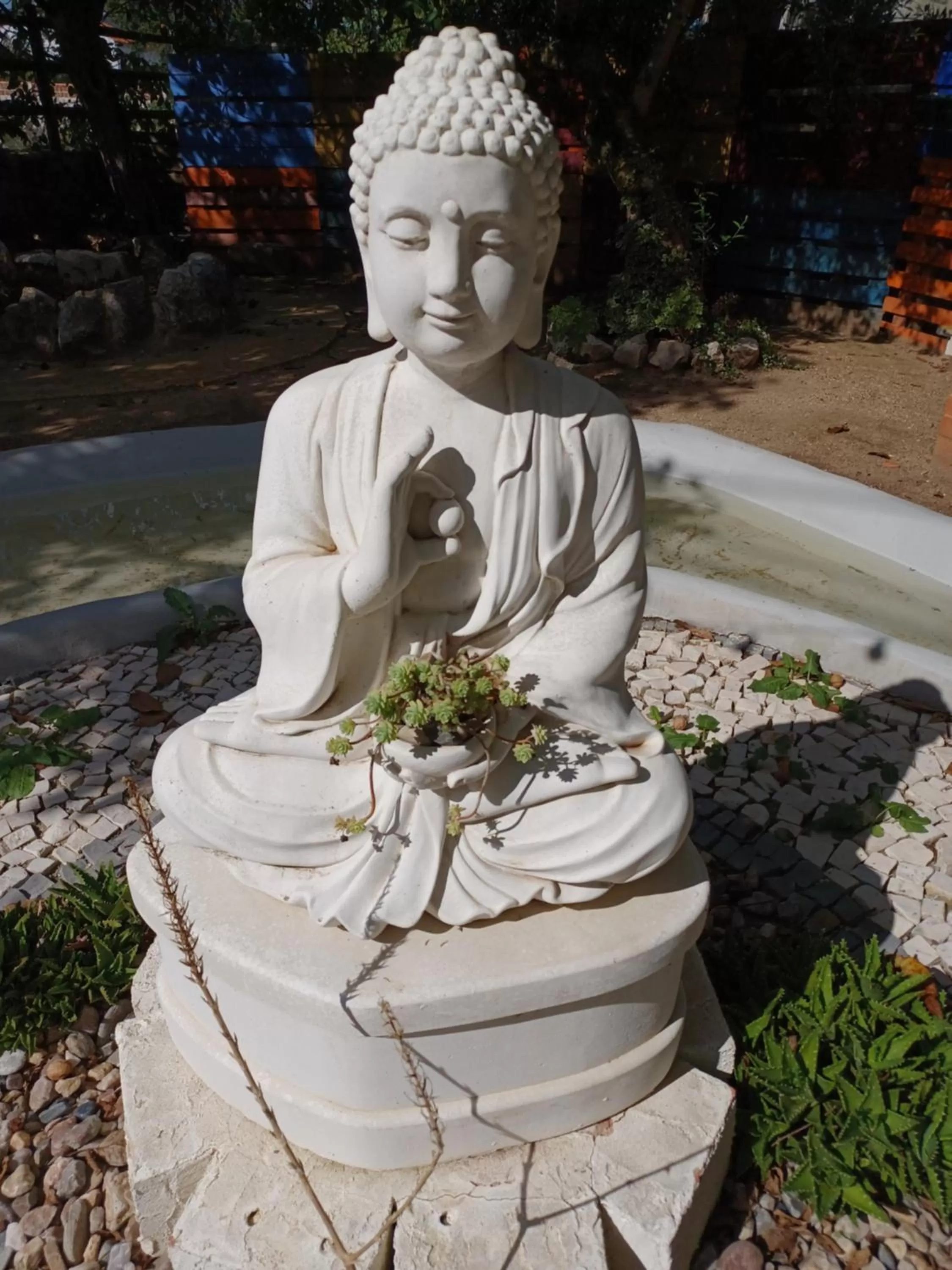 Garden in Refúgio das Artes Guesthouse