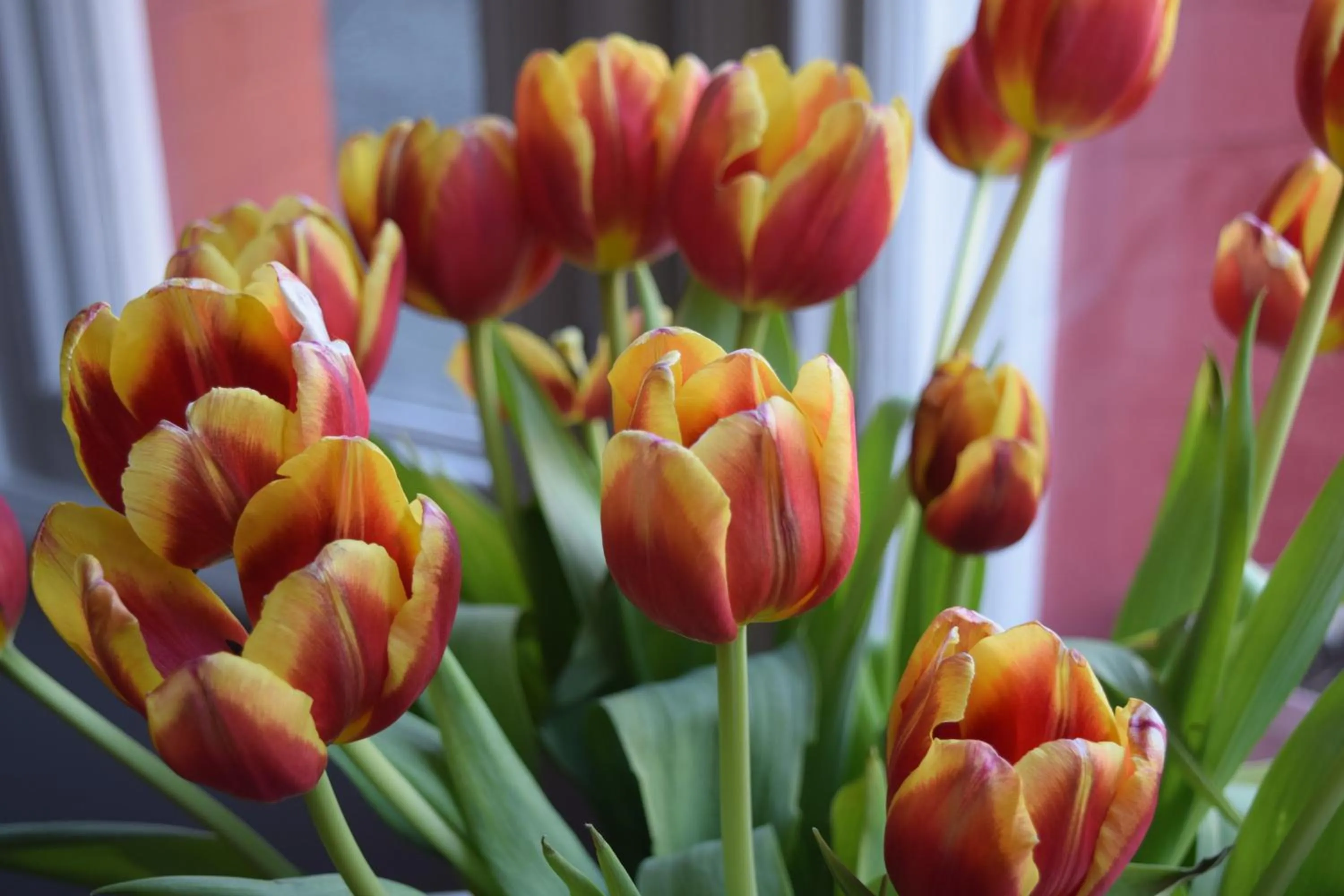 Other in Charlie Hotel