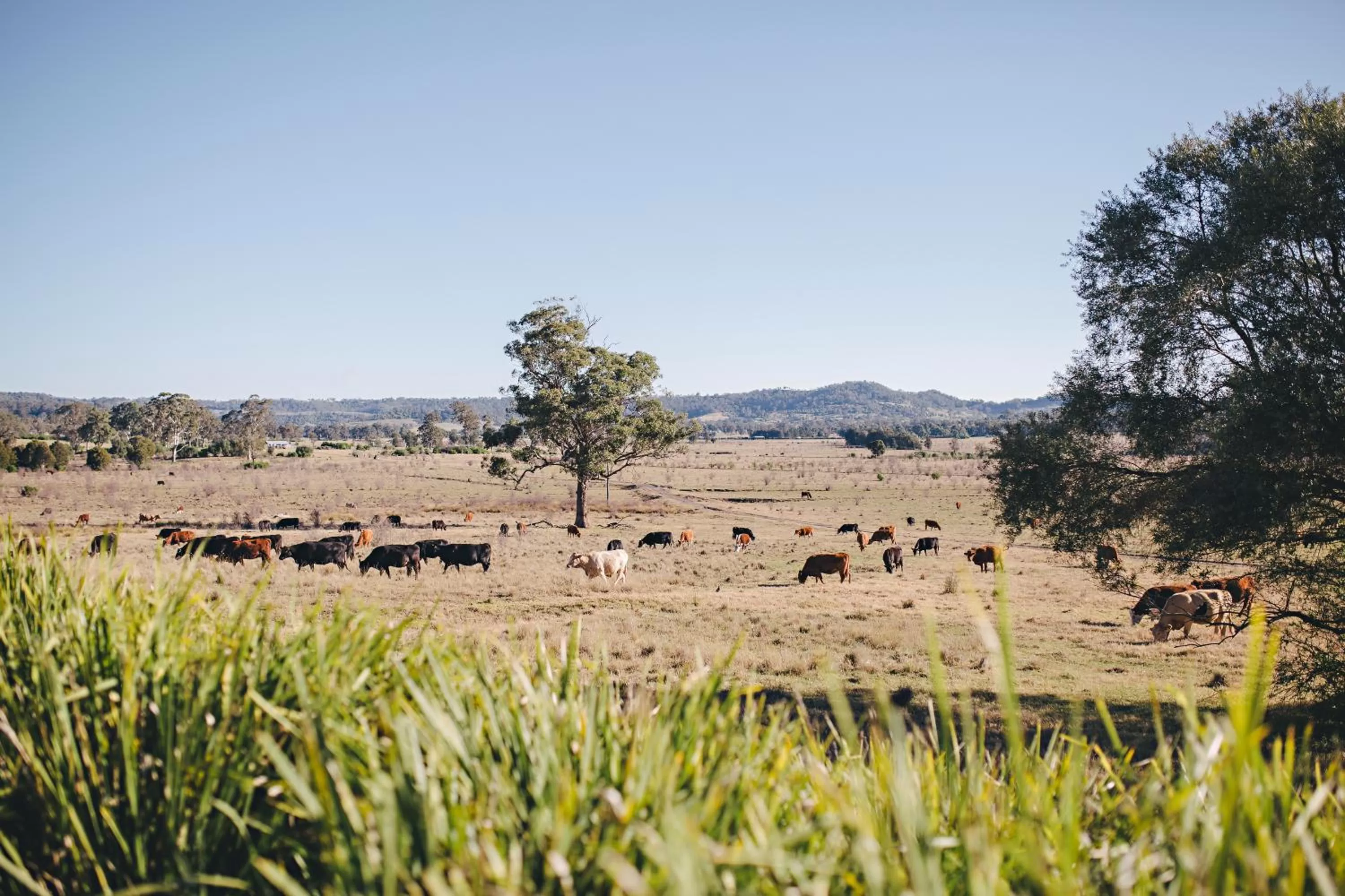 Day in Camden Valley Inn