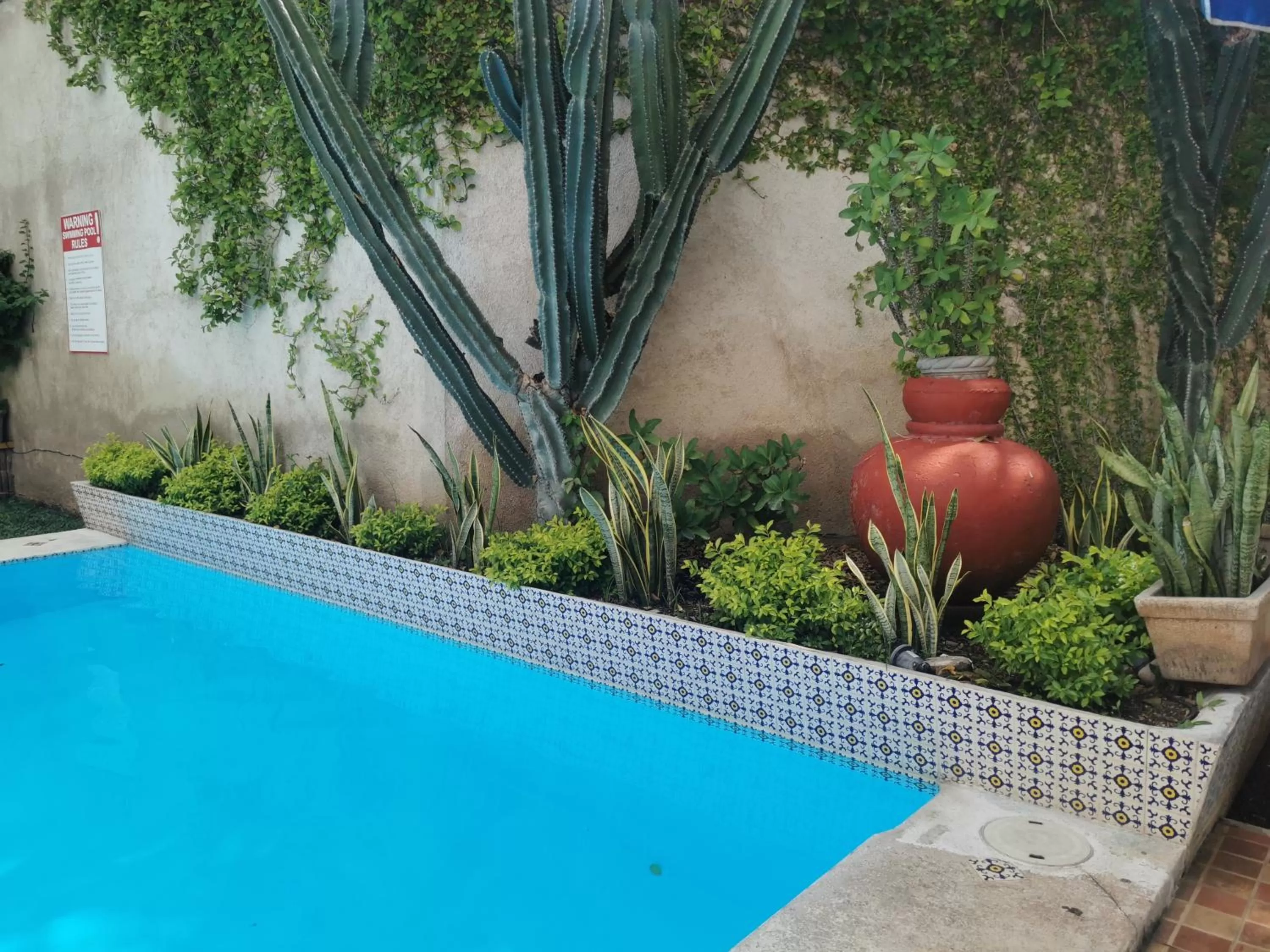 Day in Hotel Las Dalias Inn