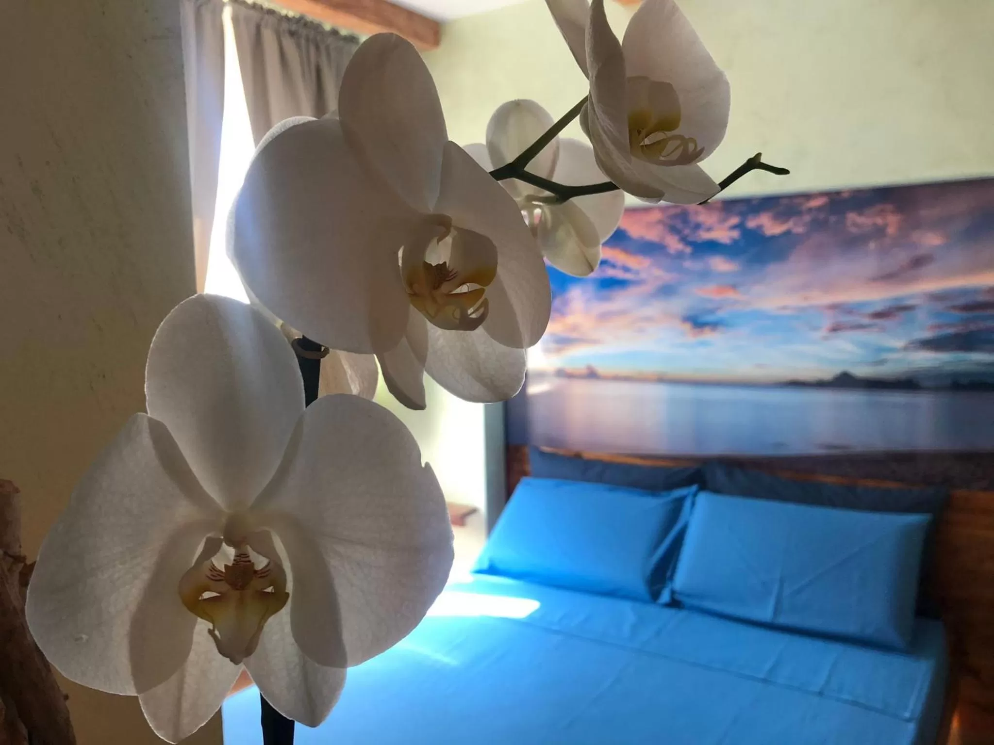 Bedroom in Dream & Relax Villa Fiore