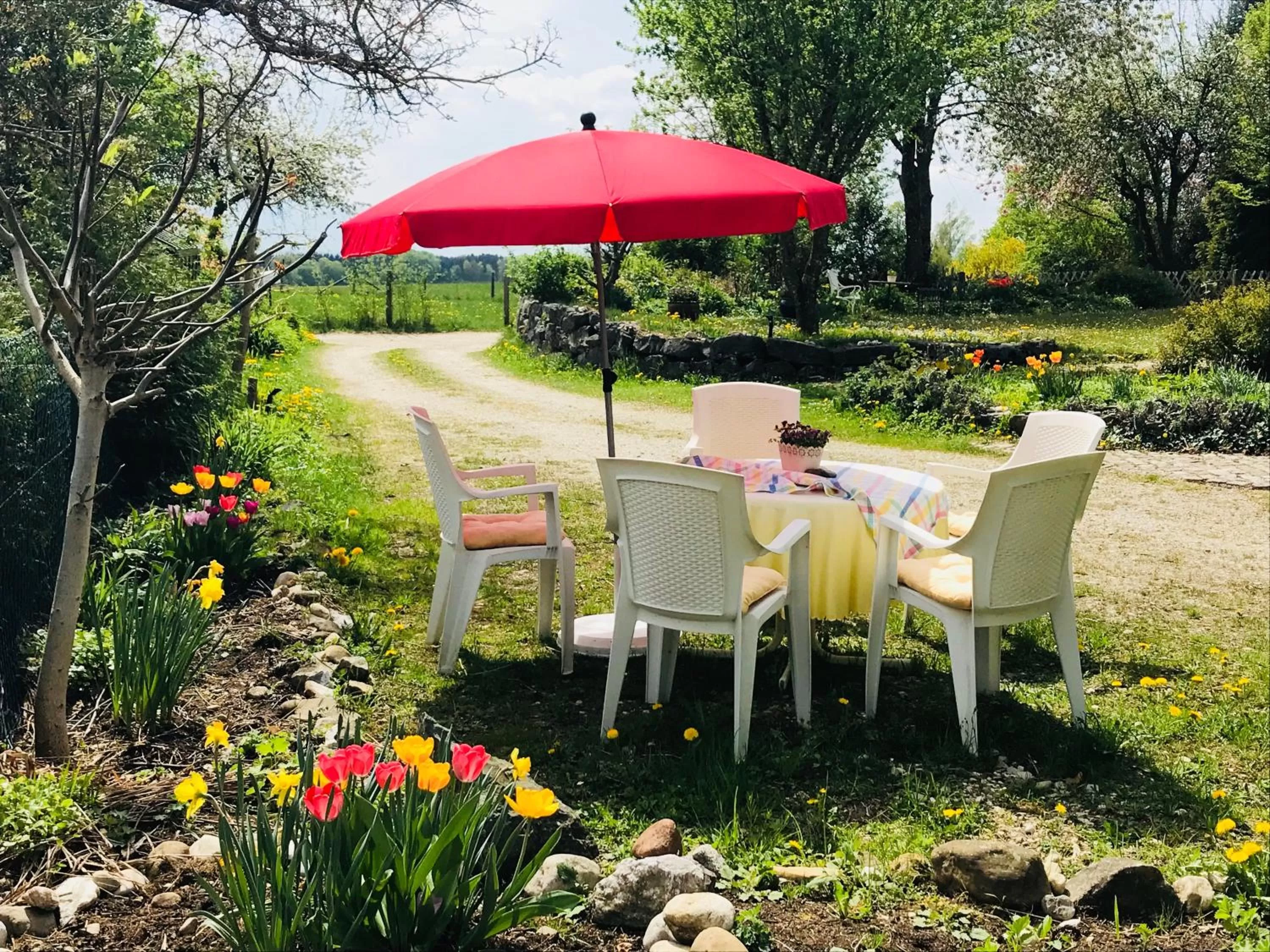 Patio in Bed and Breakfast Bavaria München