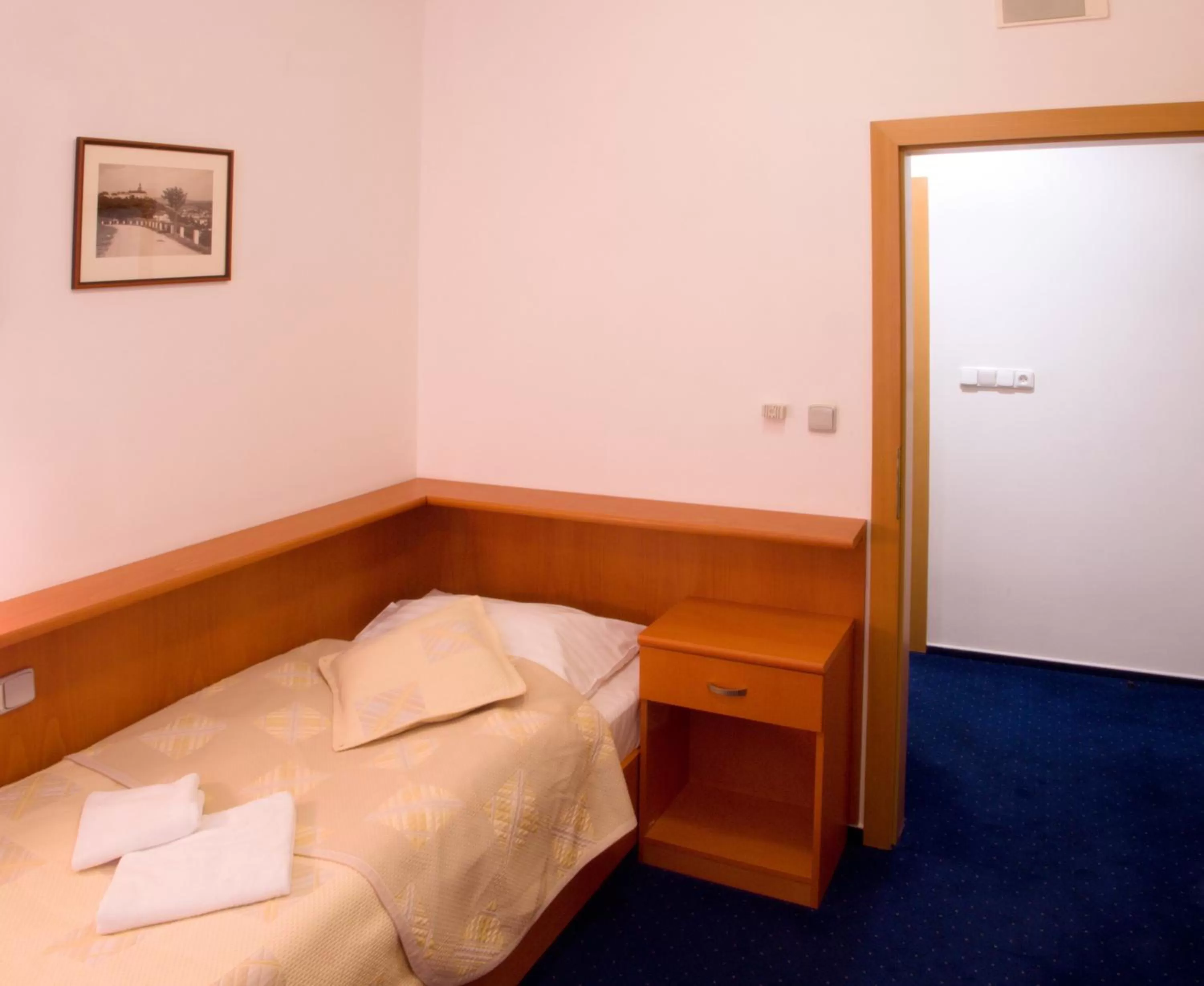 Single Room - single occupancy in Hotel U Beránka Náchod