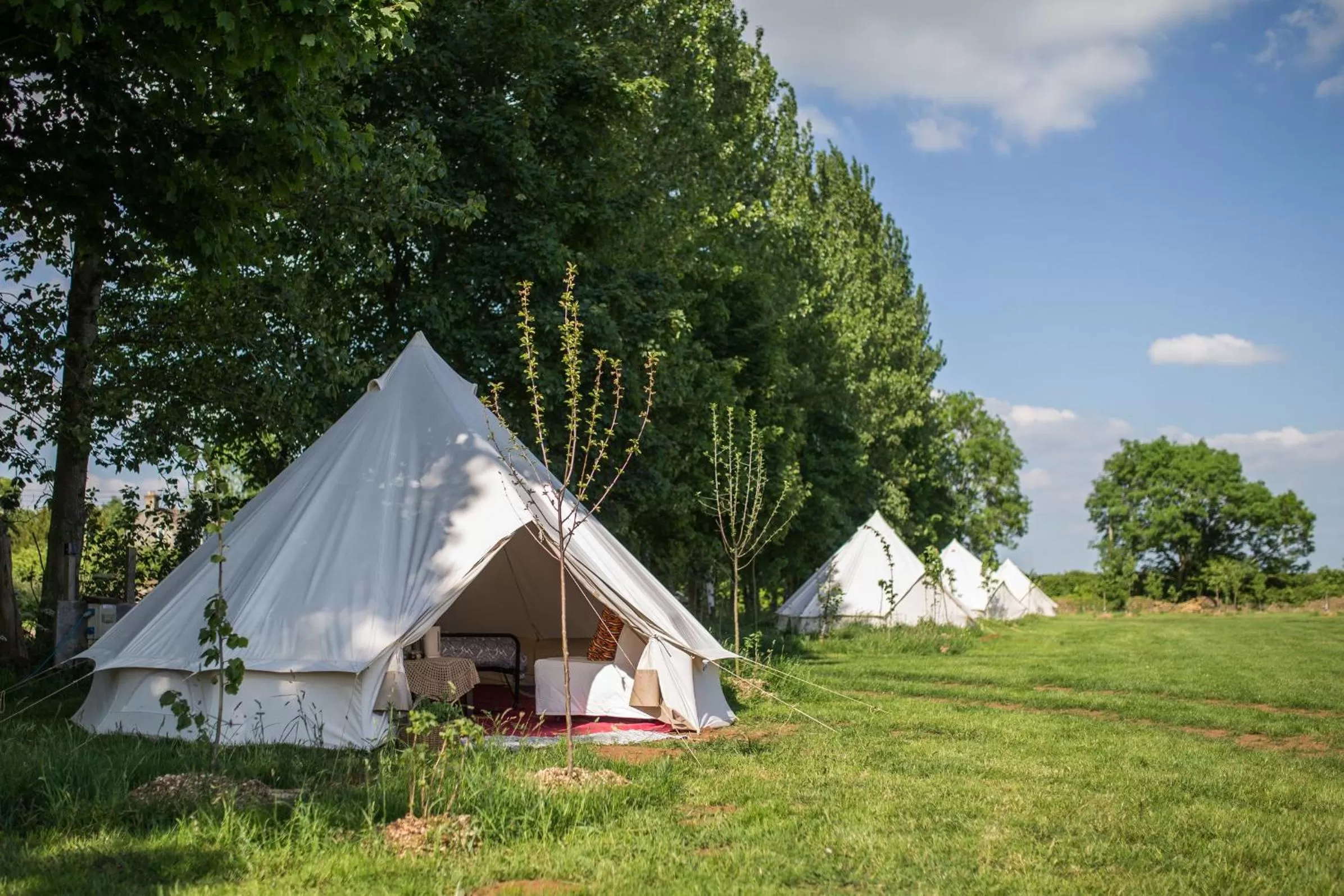 Photo of the whole room in The Holford Arms