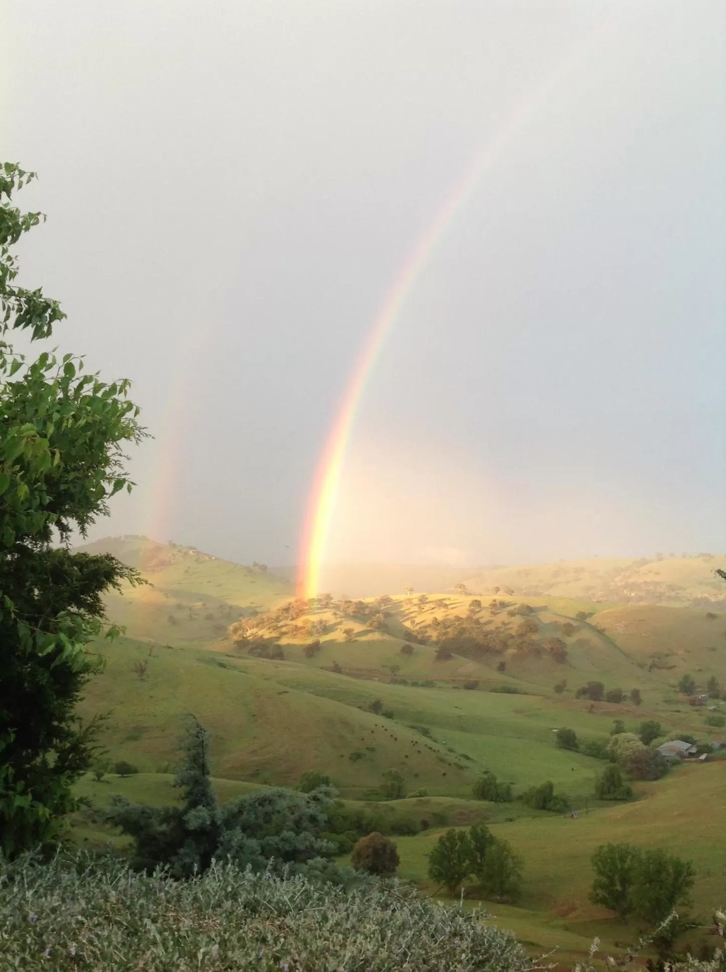 Amazing Views Pet Friendly Bed and Breakfast