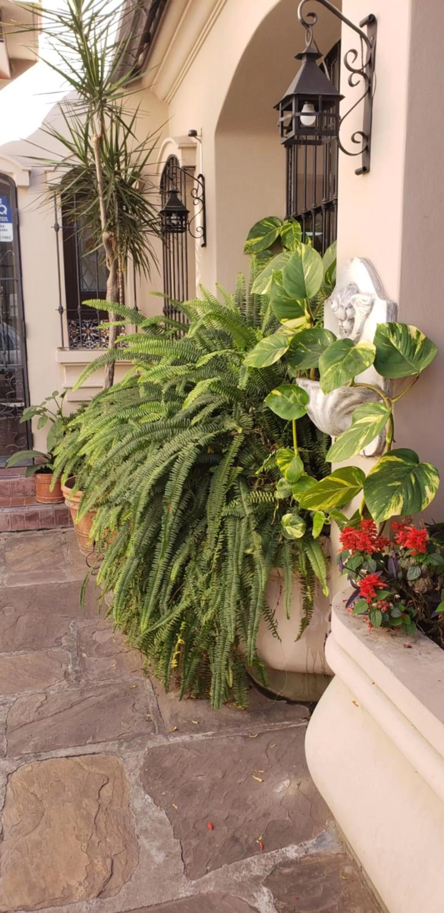 Posta del Ángel - Salta