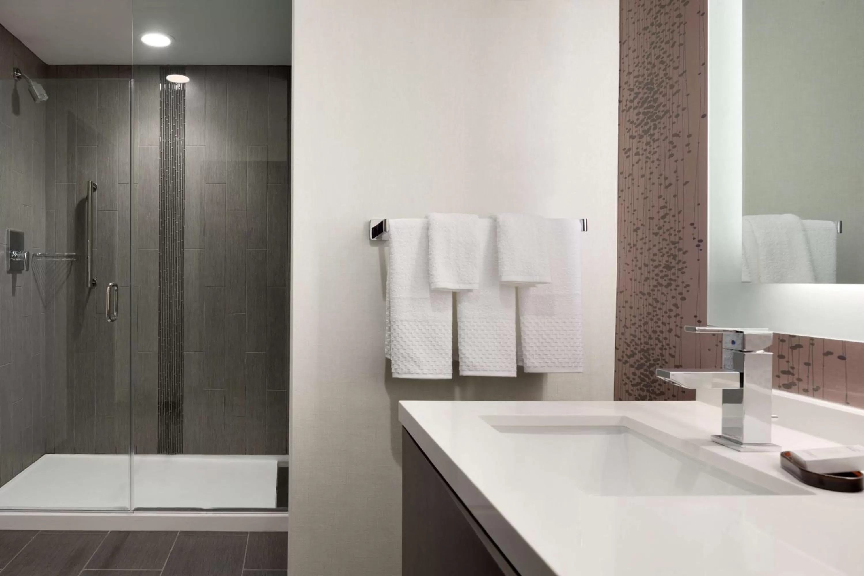 Bathroom in Embassy Suites by Hilton Charlotte Uptown