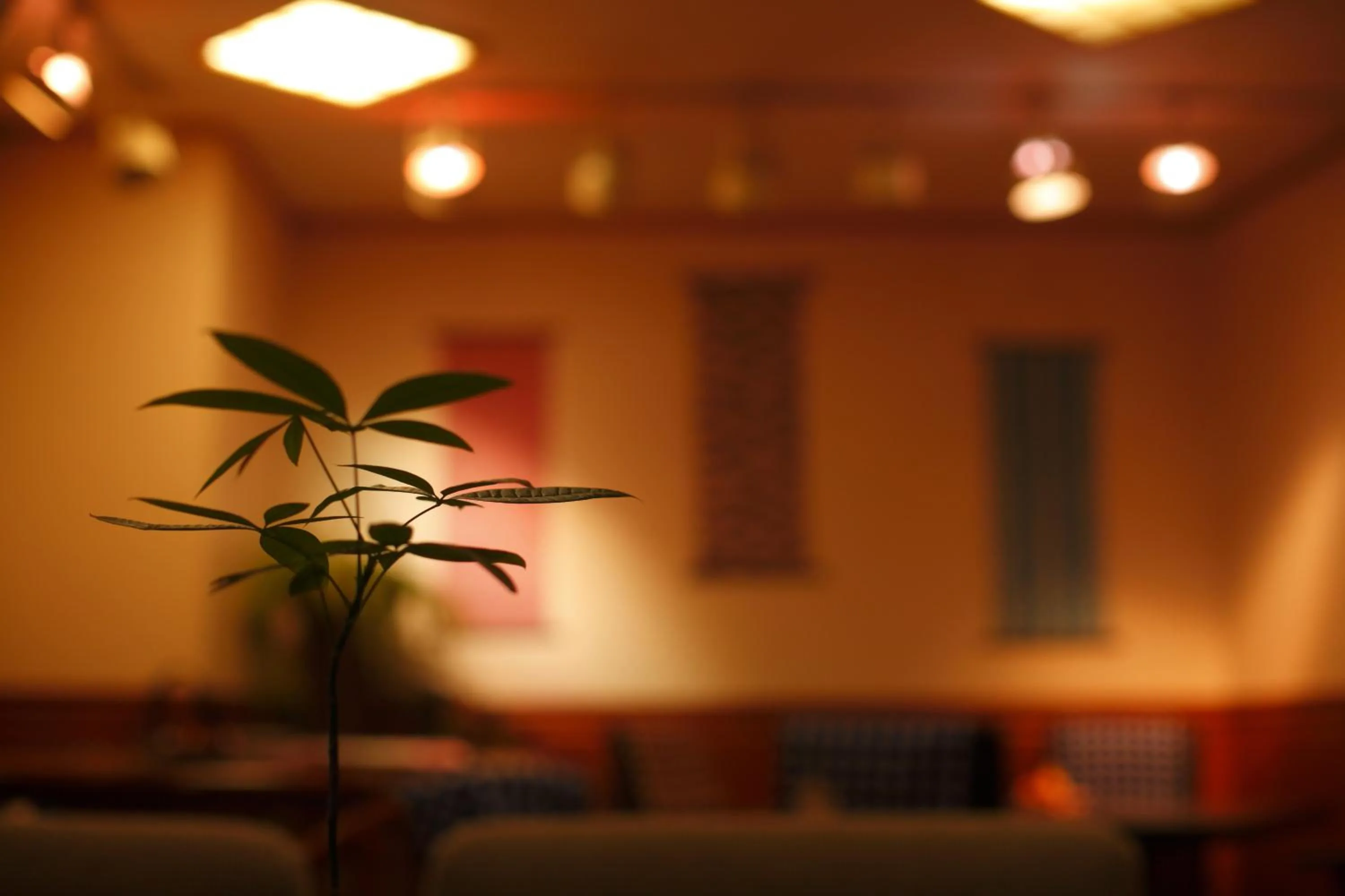 Lounge or bar in Sakaeya