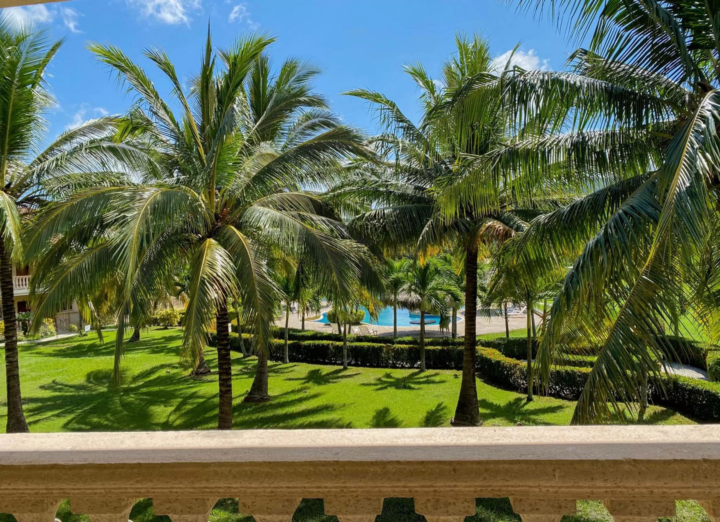 Garden in La Ensenada Beach Resort