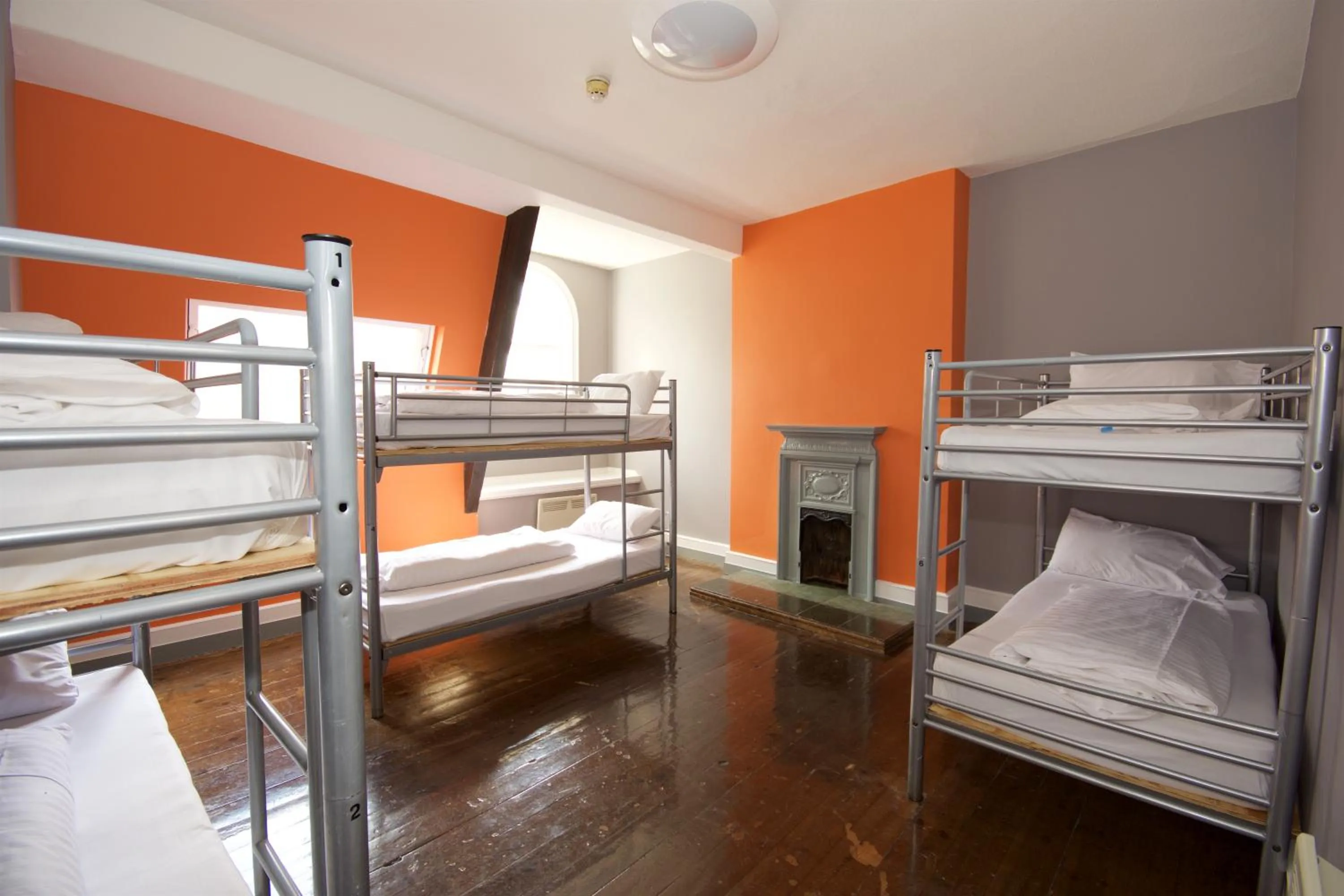 bunk bed, Bed in Albatross Hostel