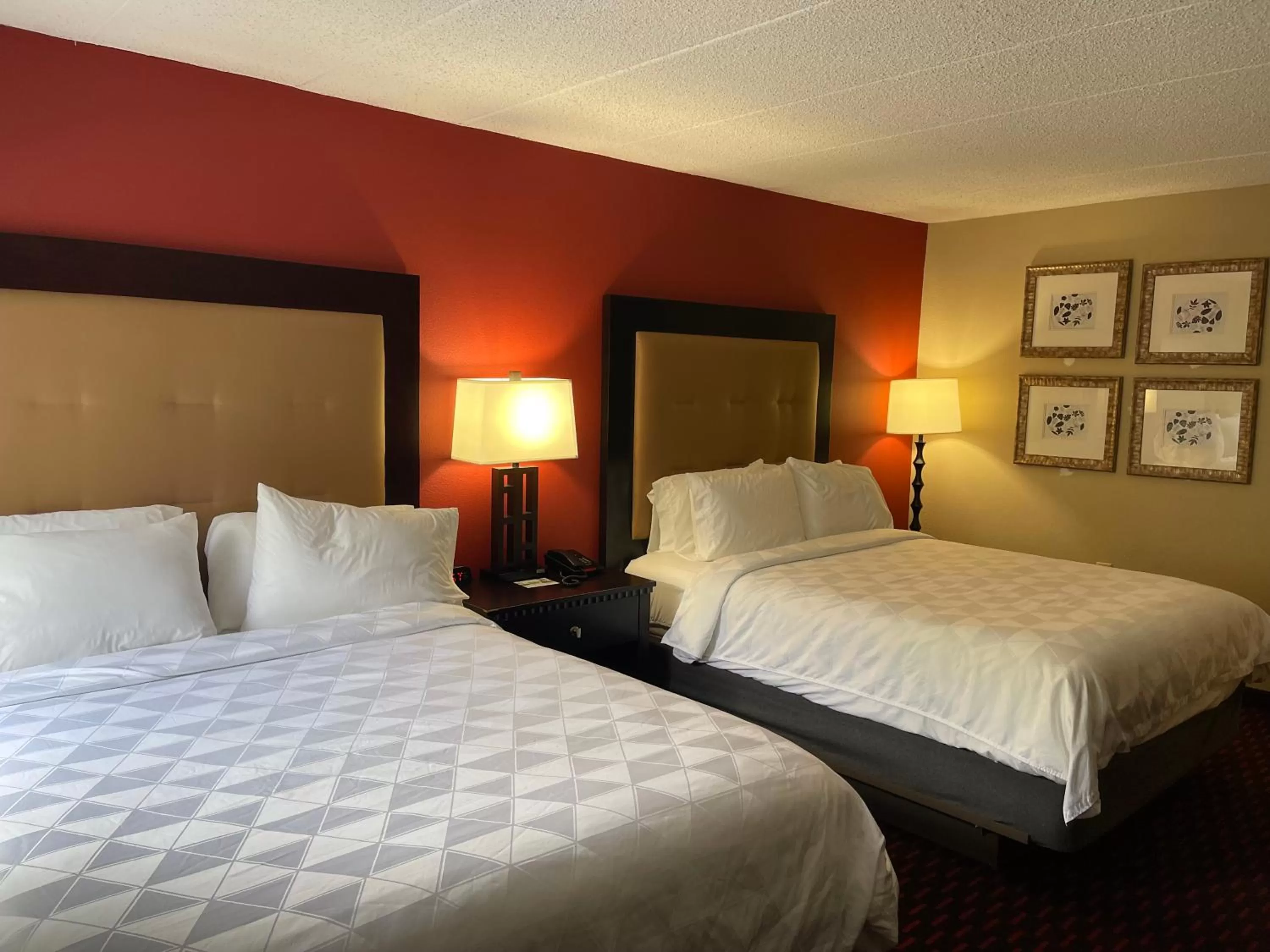 Photo of the whole room, Bed in Wyndham Garden Dover