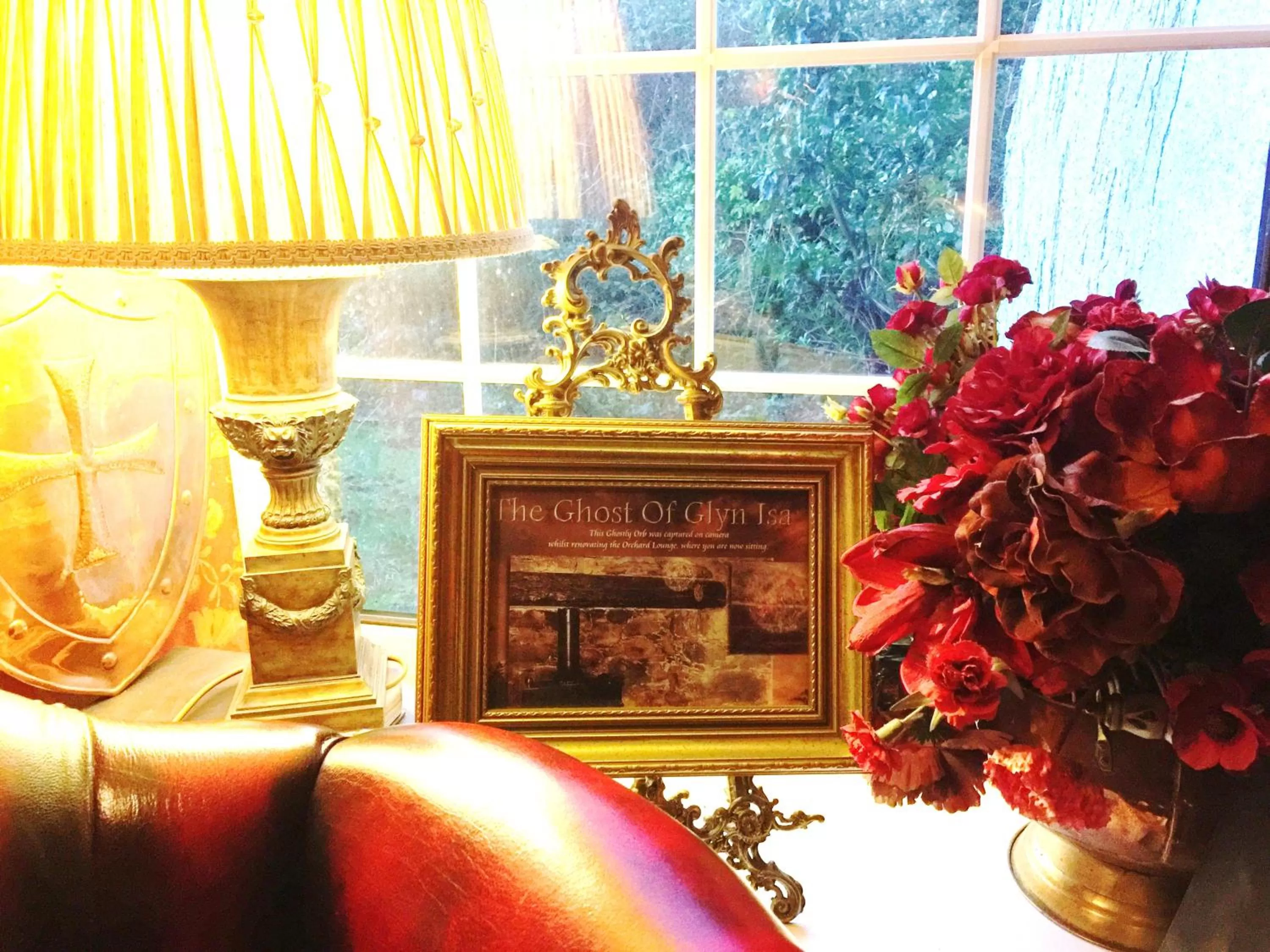 Lounge or bar in Glyn Isa Country House B&B and self catering Lodge