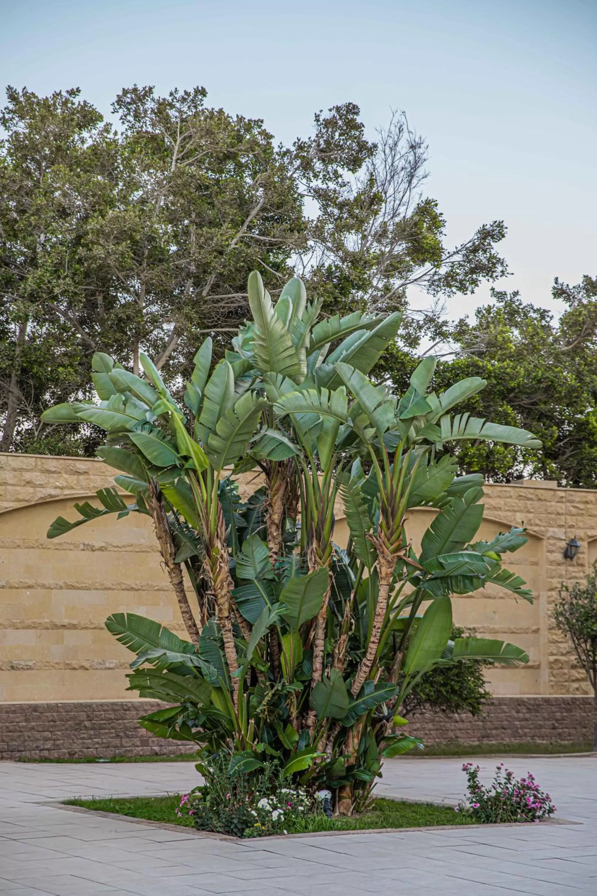 Palm Beach Resort Families and Couples only