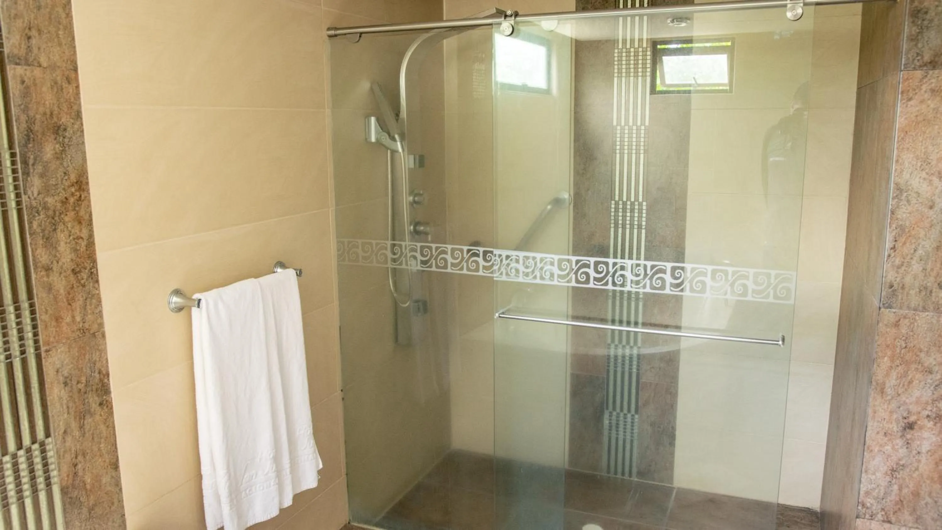 Shower in Hotel San Juan Internacional