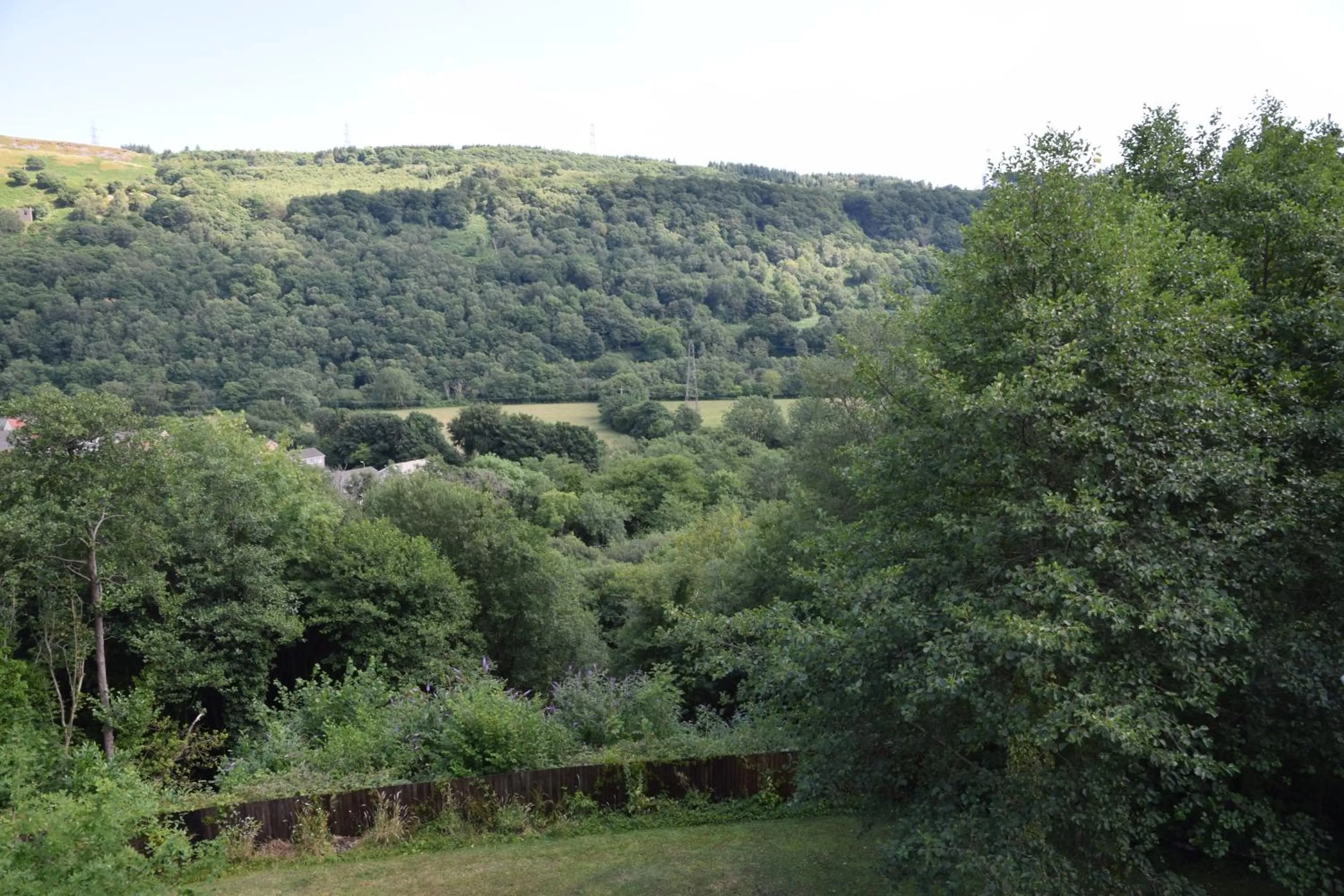 Natural landscape in Cilbrwyn