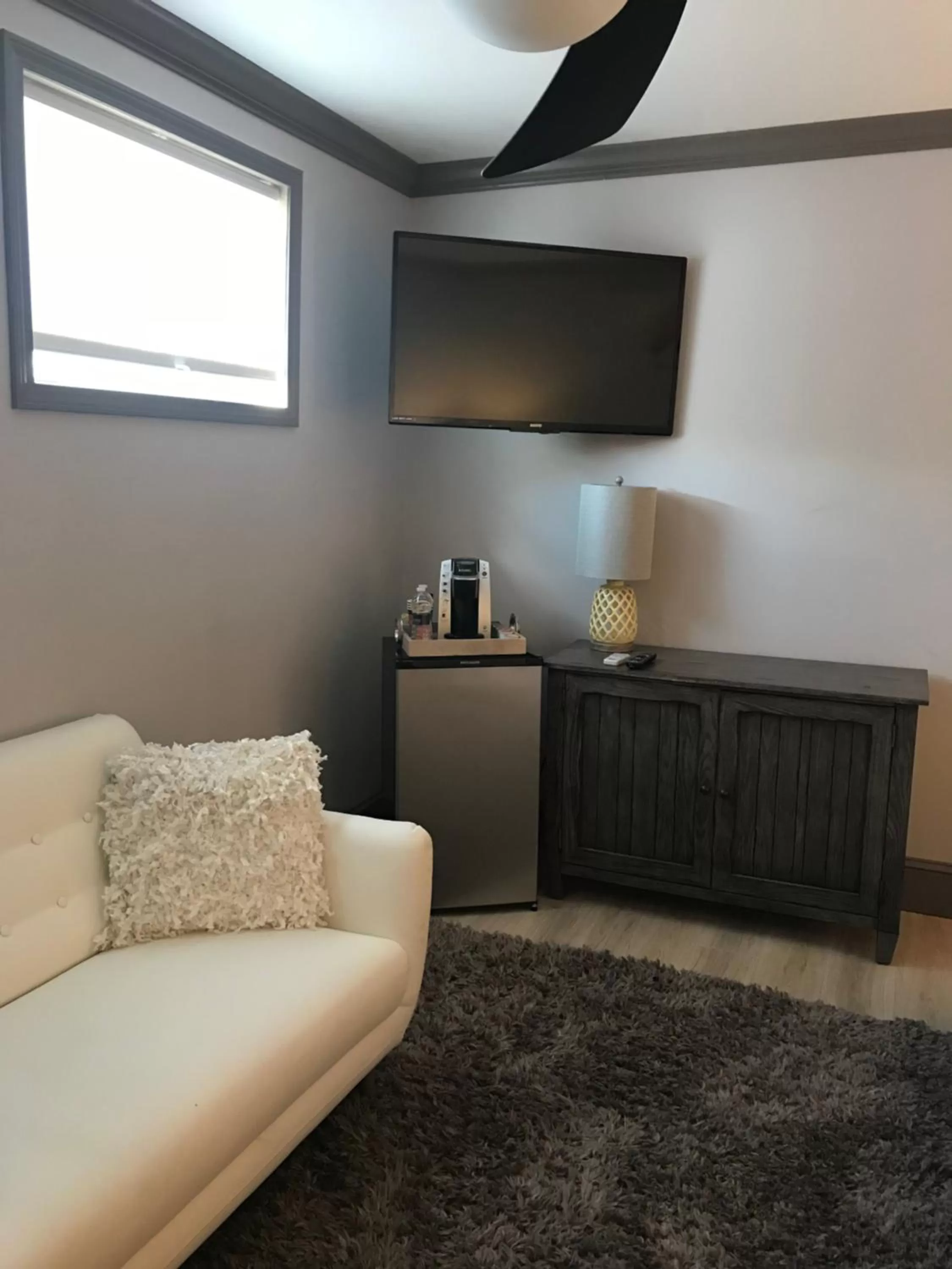 TV and multimedia in Elaine's Cape May Boutique Hotel