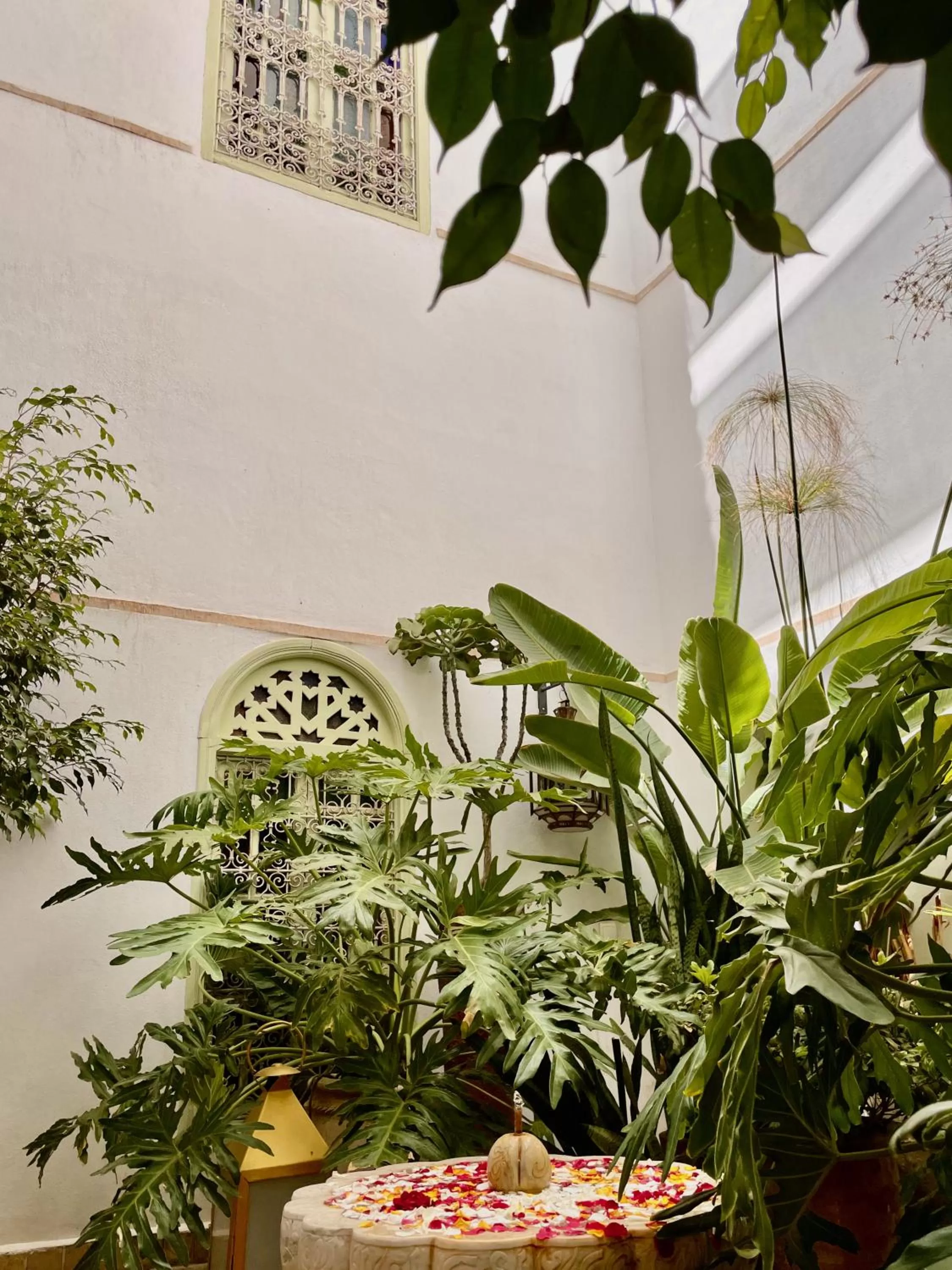 Patio in Riad Dar Chacha