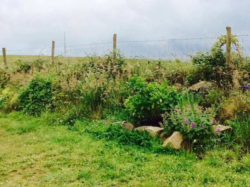 Property building in Holland House F94DP26