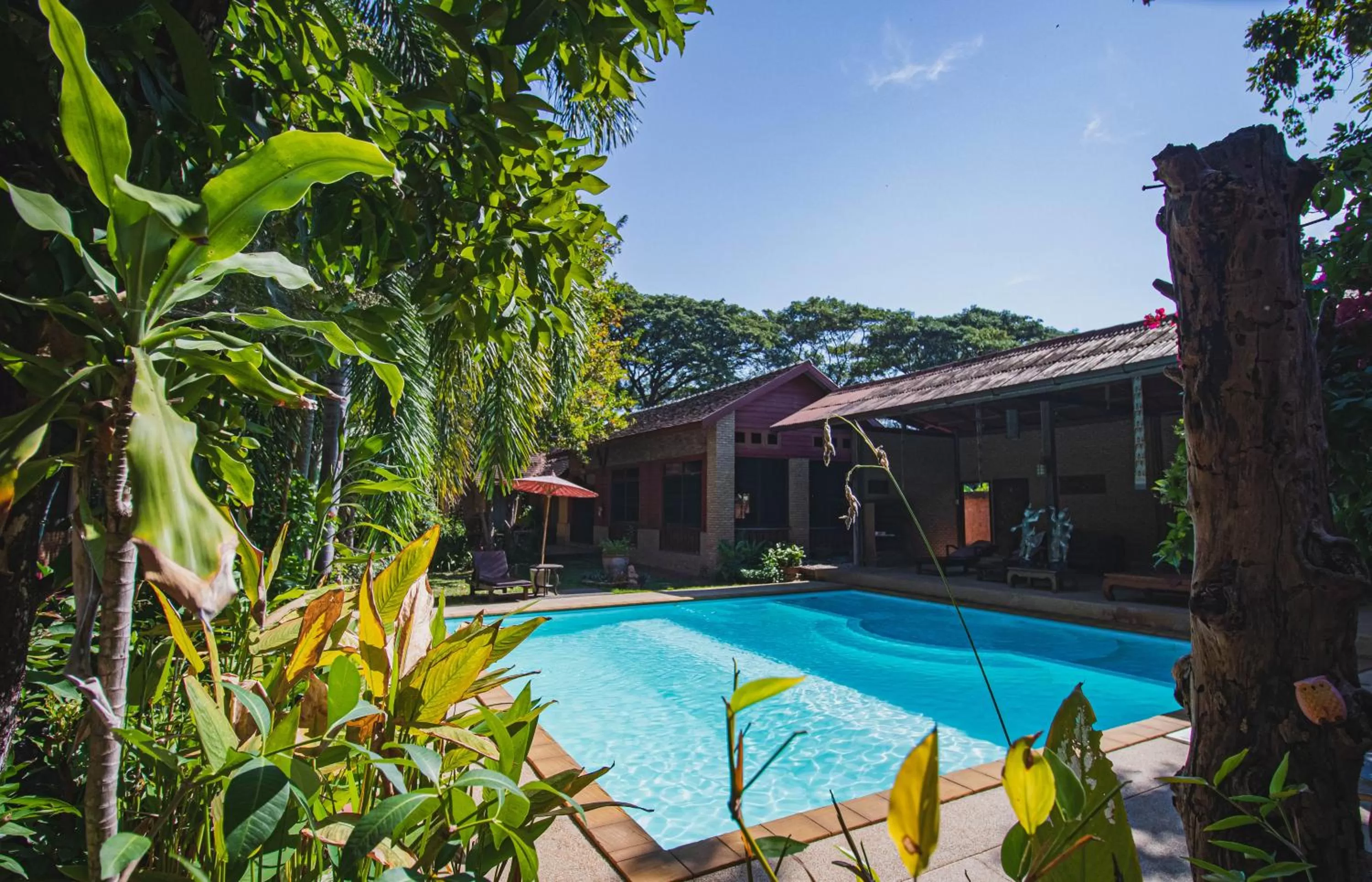 Swimming pool in Joy's House & Tour