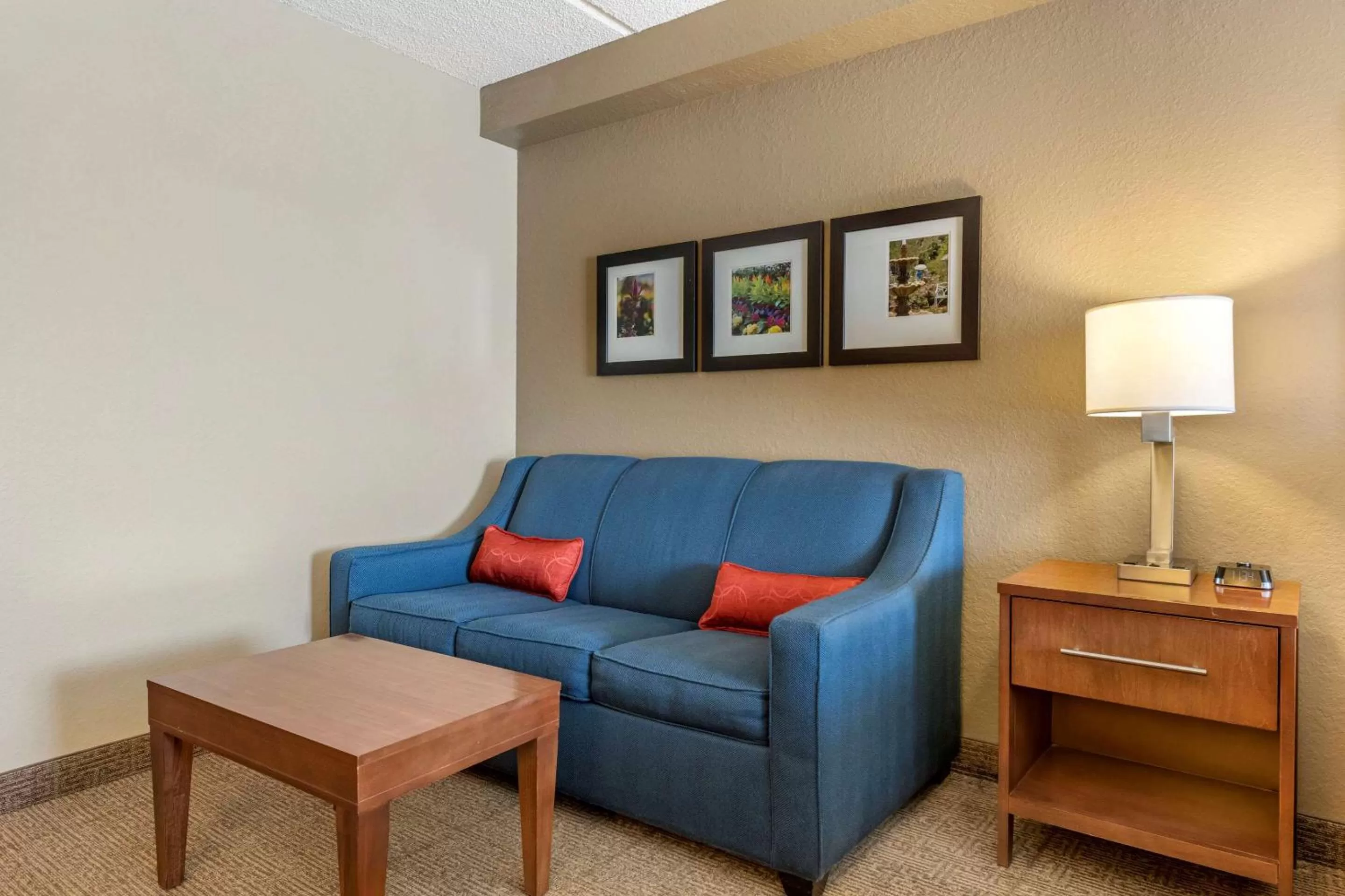 Photo of the whole room in Comfort Inn & Suites Orlando North