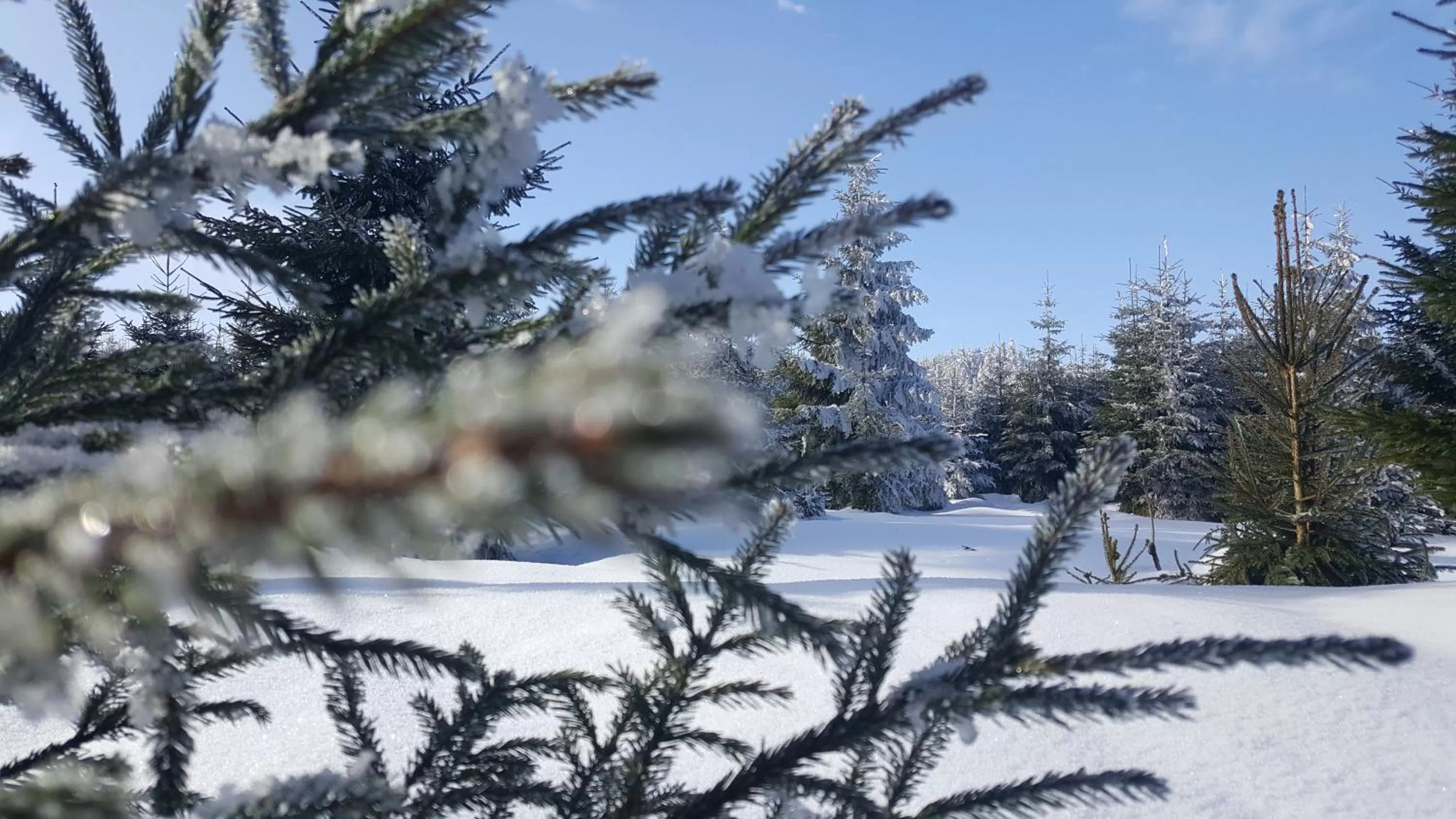 Winter in Hotel Traumblick