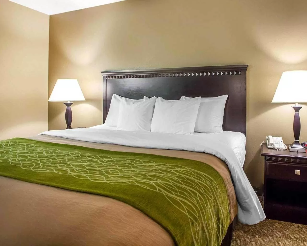 Non-Smoking Single Queen Room in Comfort Inn Edison - New Brunswick