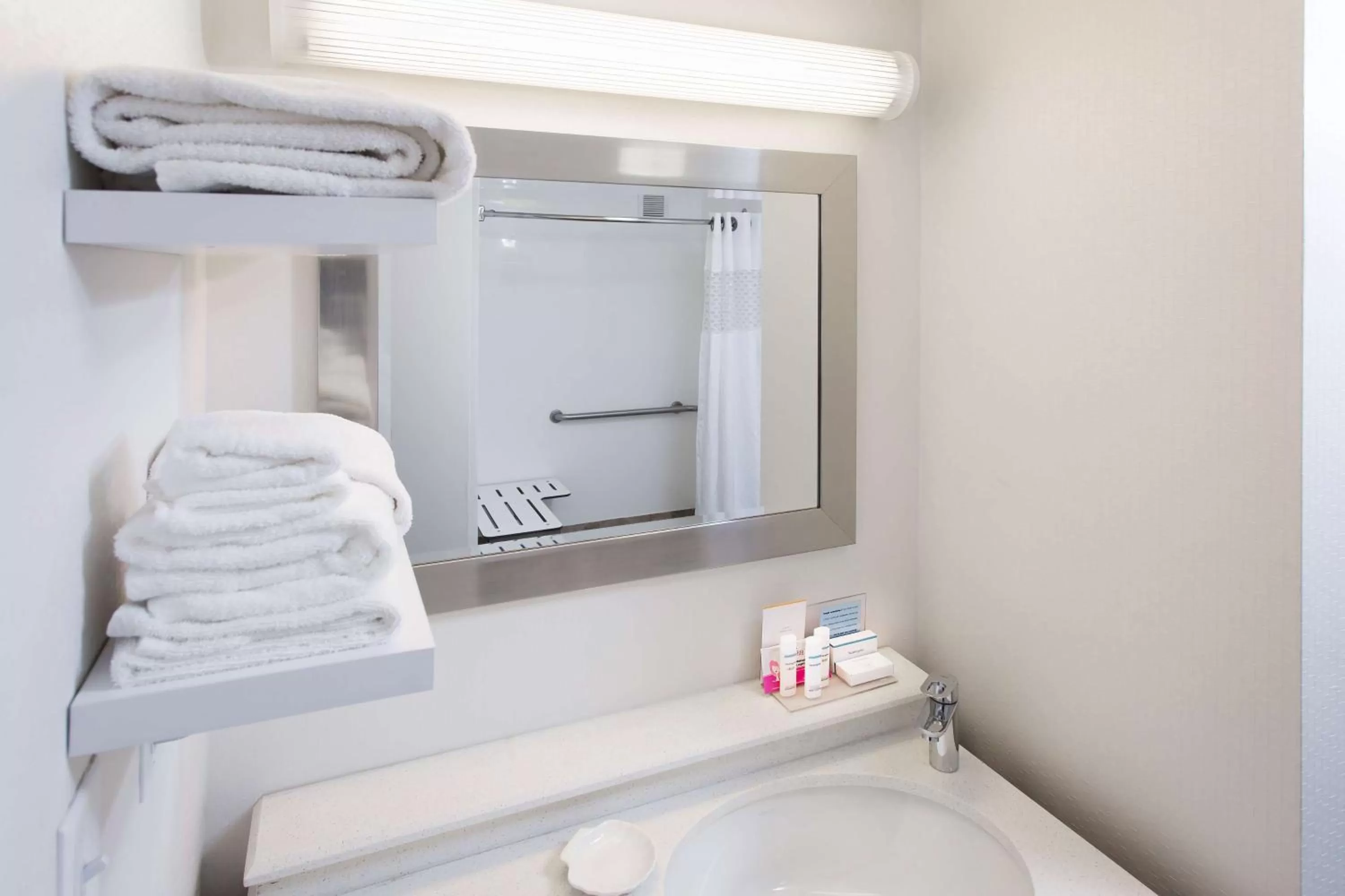 Bathroom in Hampton Inn Troy