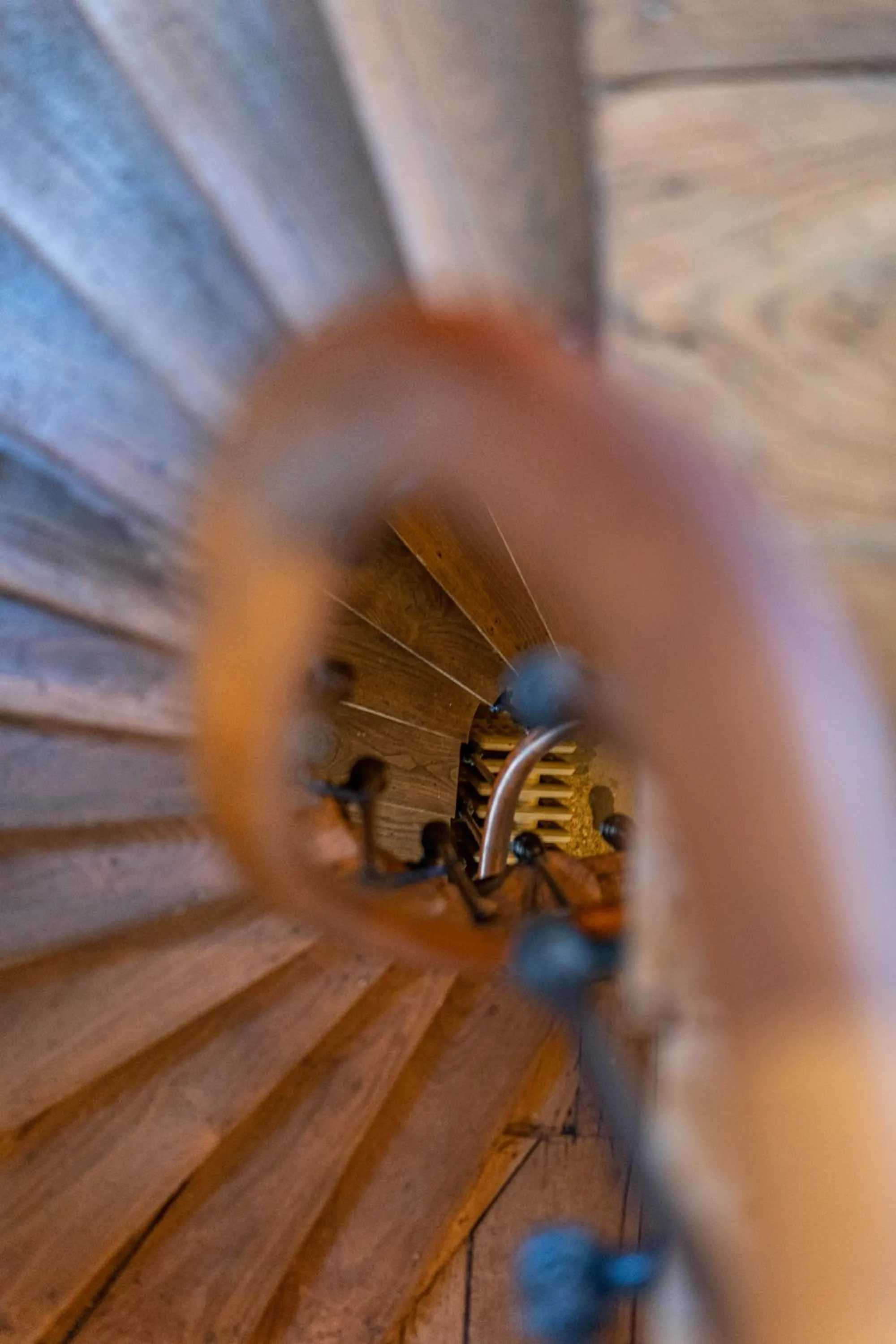 Property building in La Maison Pavie