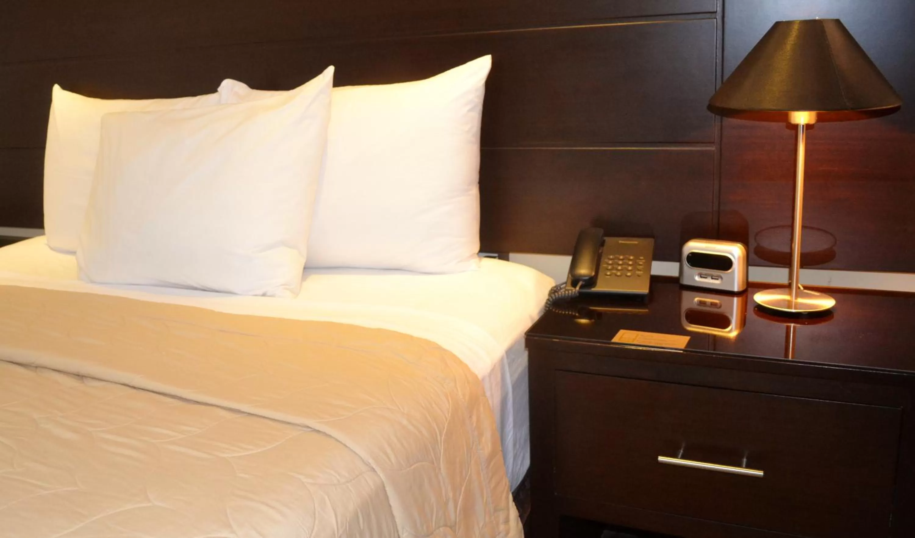 Photo of the whole room, Bed in Hotel Villa Florencia Zona Rosa