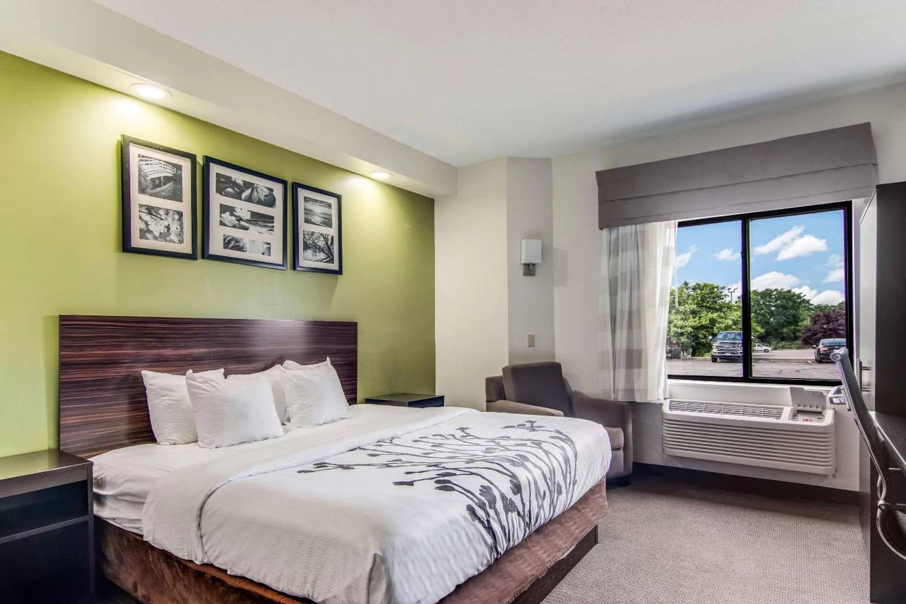 Photo of the whole room, Bed in Sleep Inn Austintown - Youngstown, West