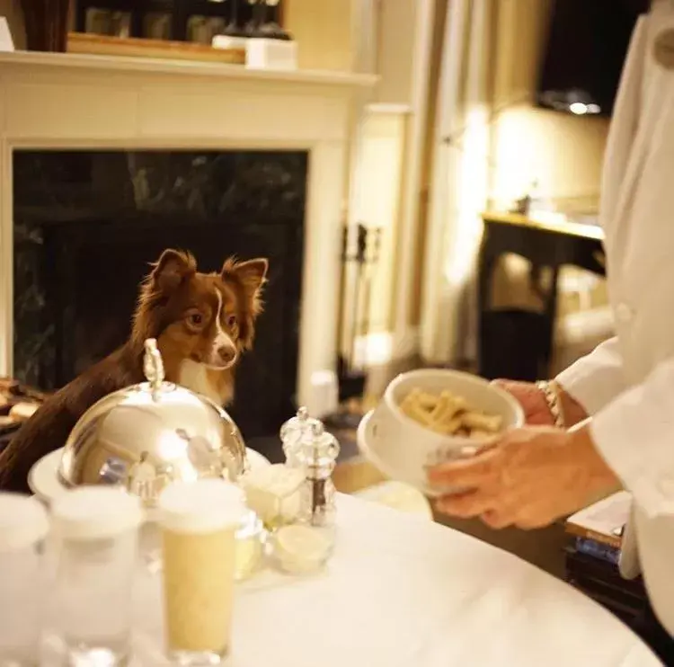 Lowell Hotel Lowell Hotel