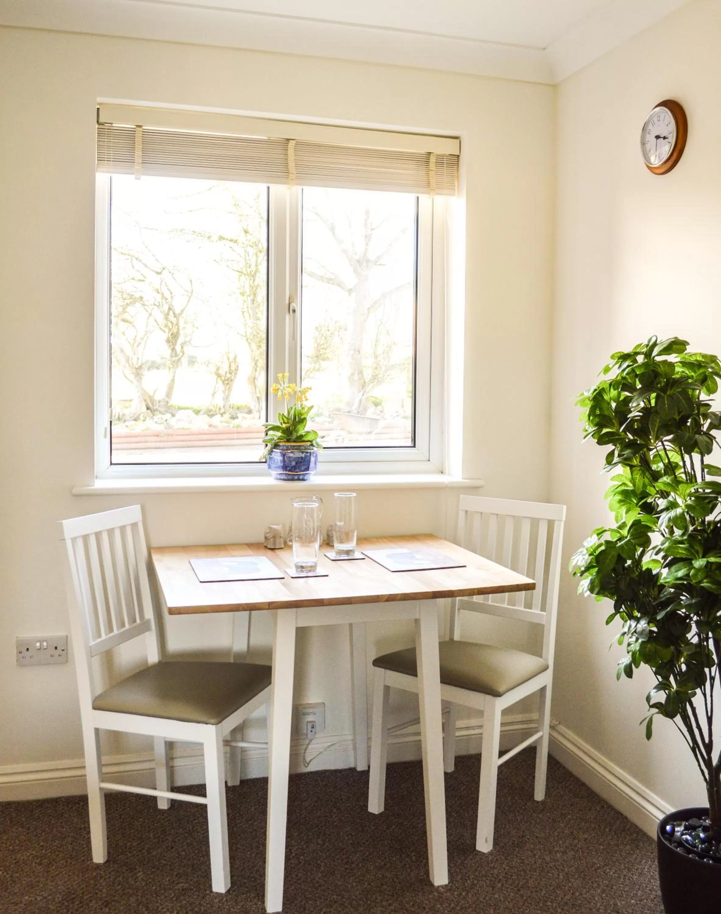 Spring in The Darling Suites