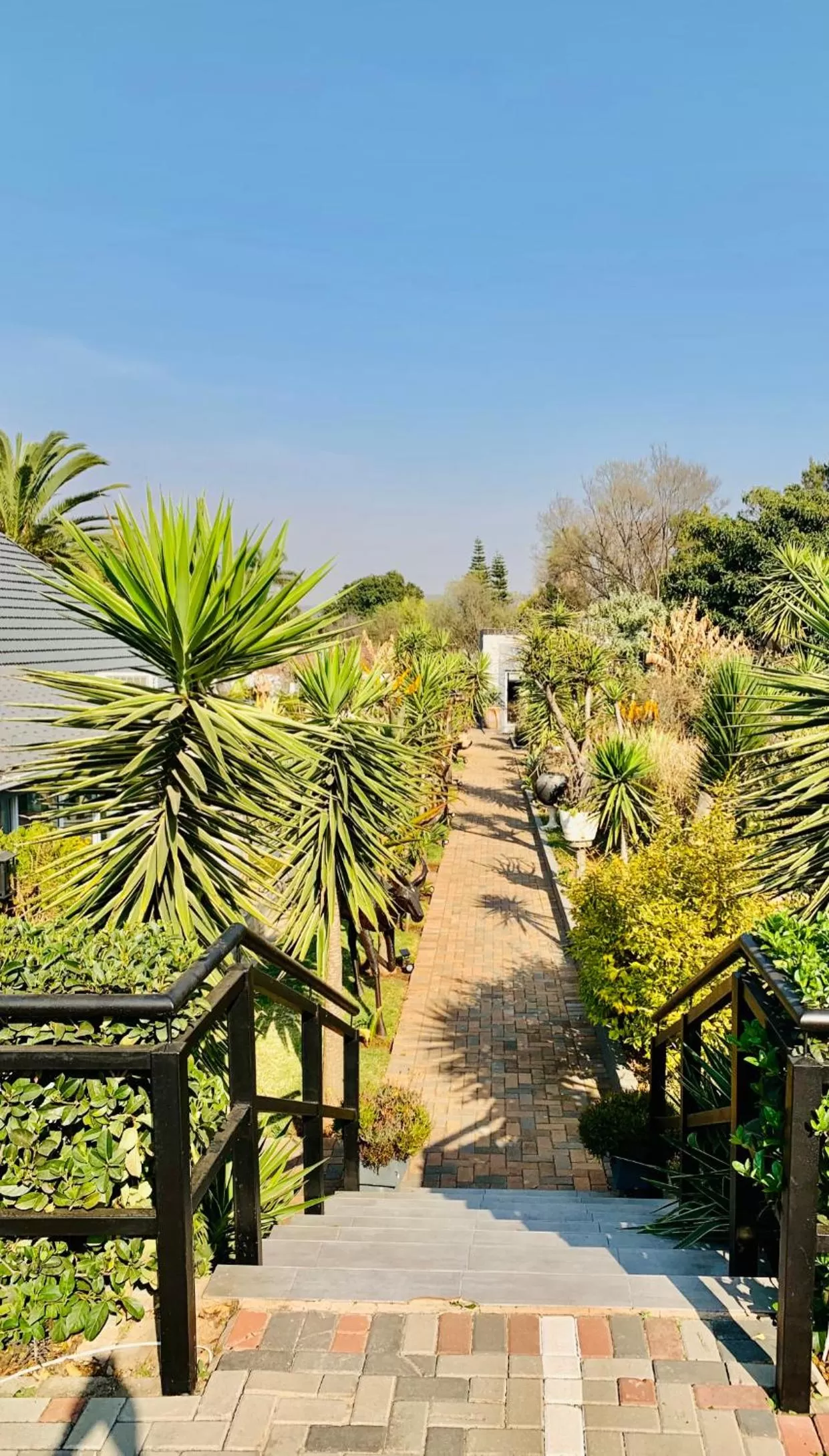 24 On Basil Inventive suites