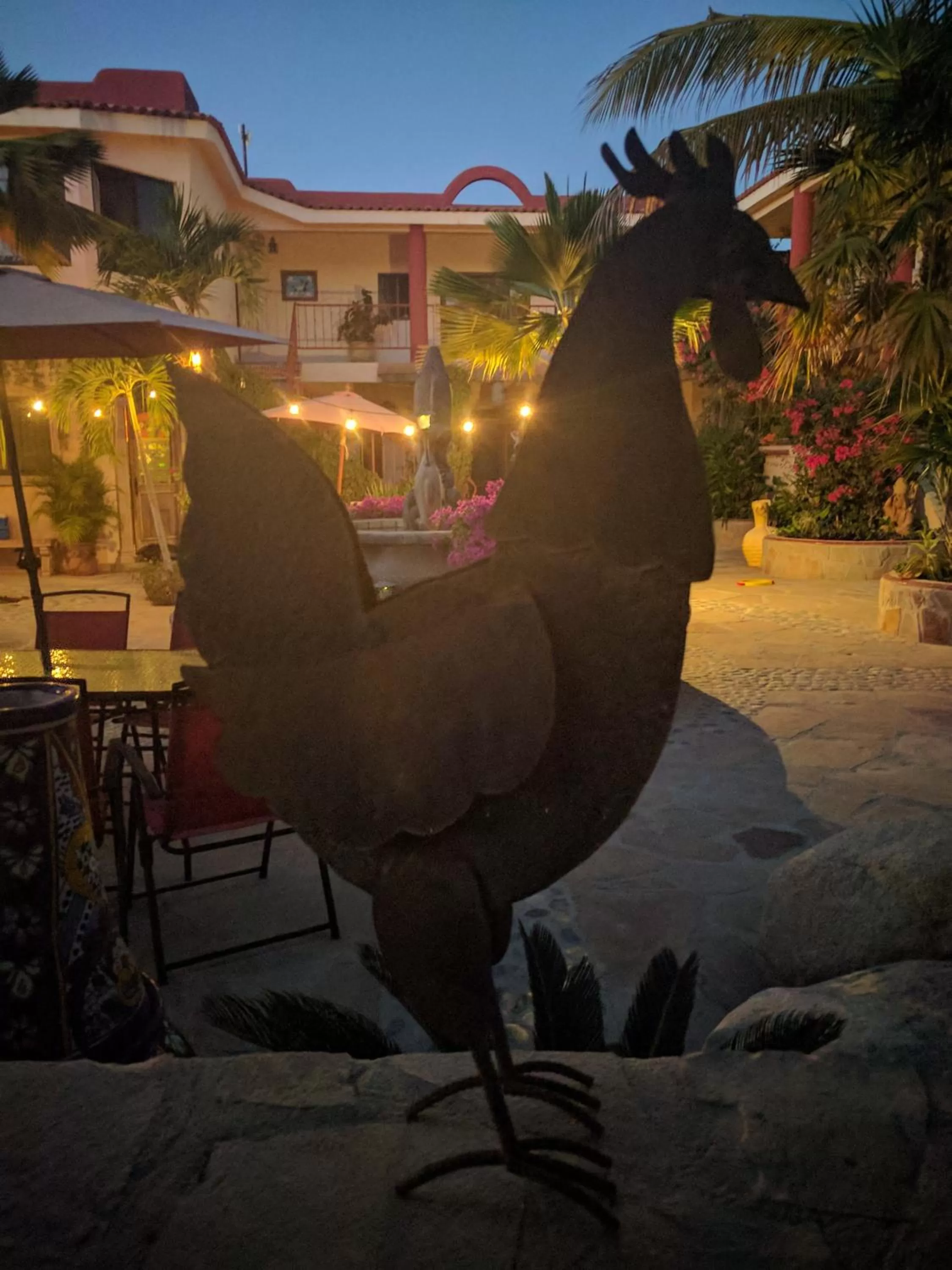 Night in Hacienda De Palmas