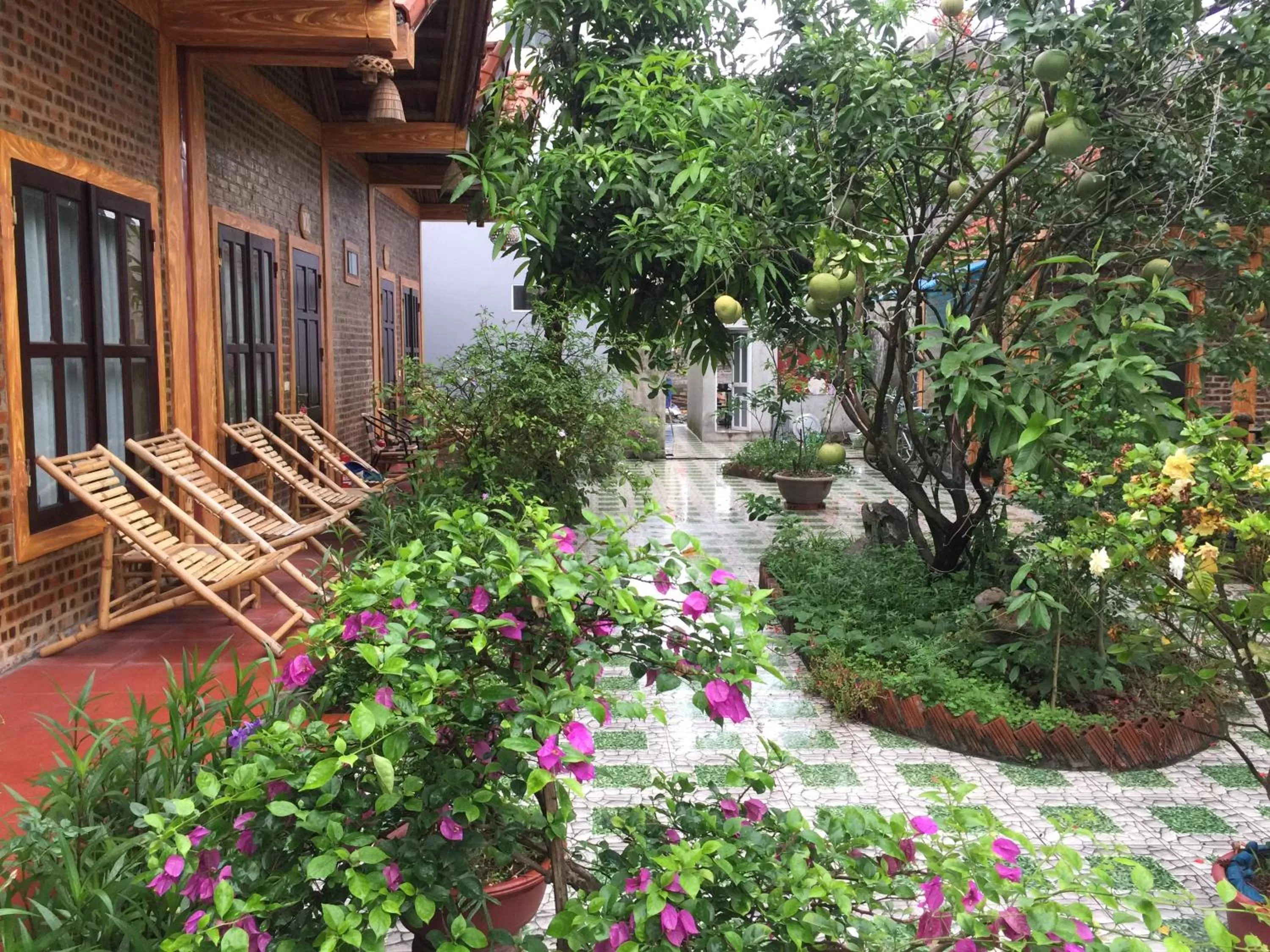 Spring in Tam Coc Vinh Thinh Homestay