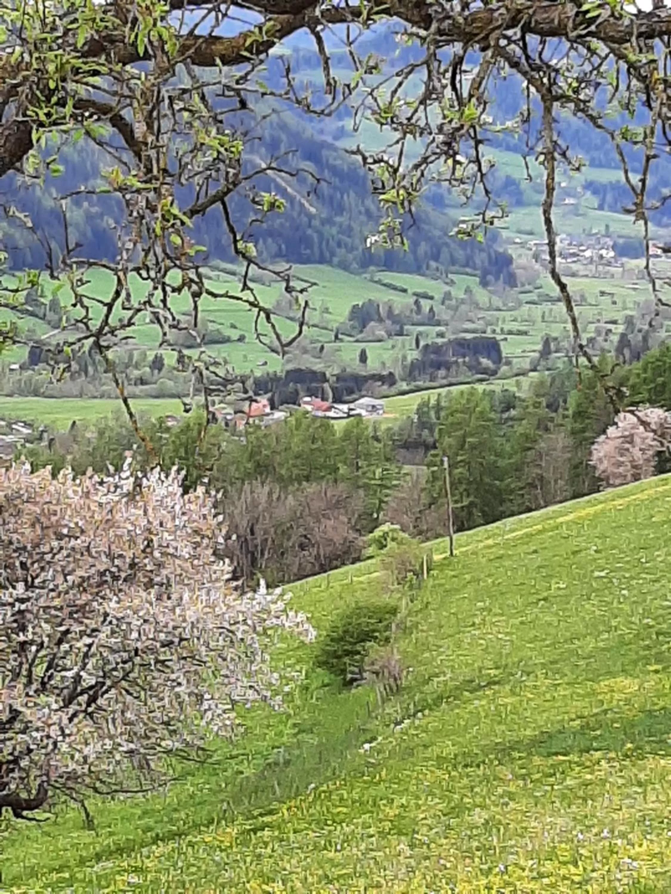 Fruhstuckspension Bischof i d Wiesen