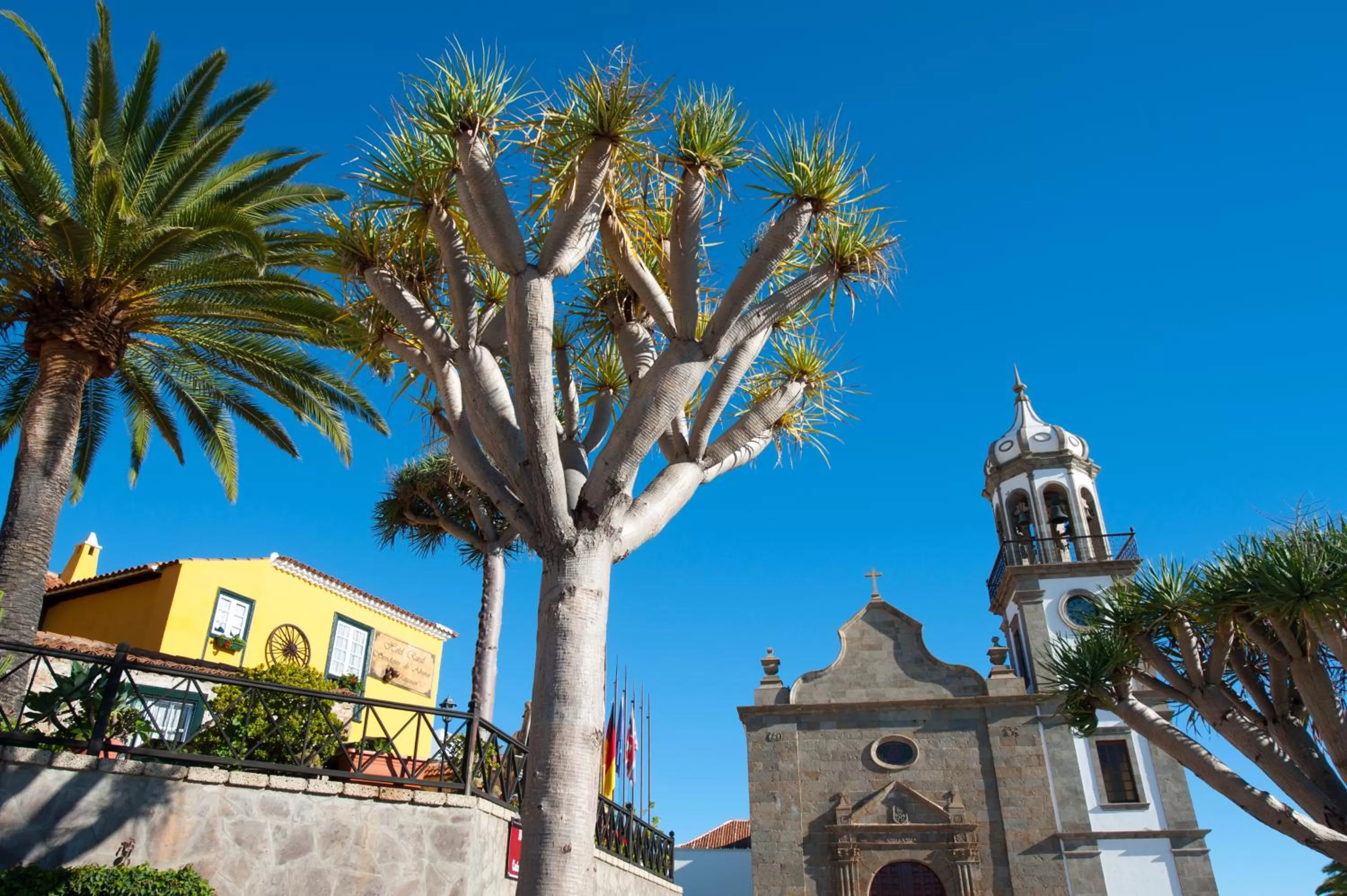 View (from property/room) in Hotel Rural Senderos de Abona
