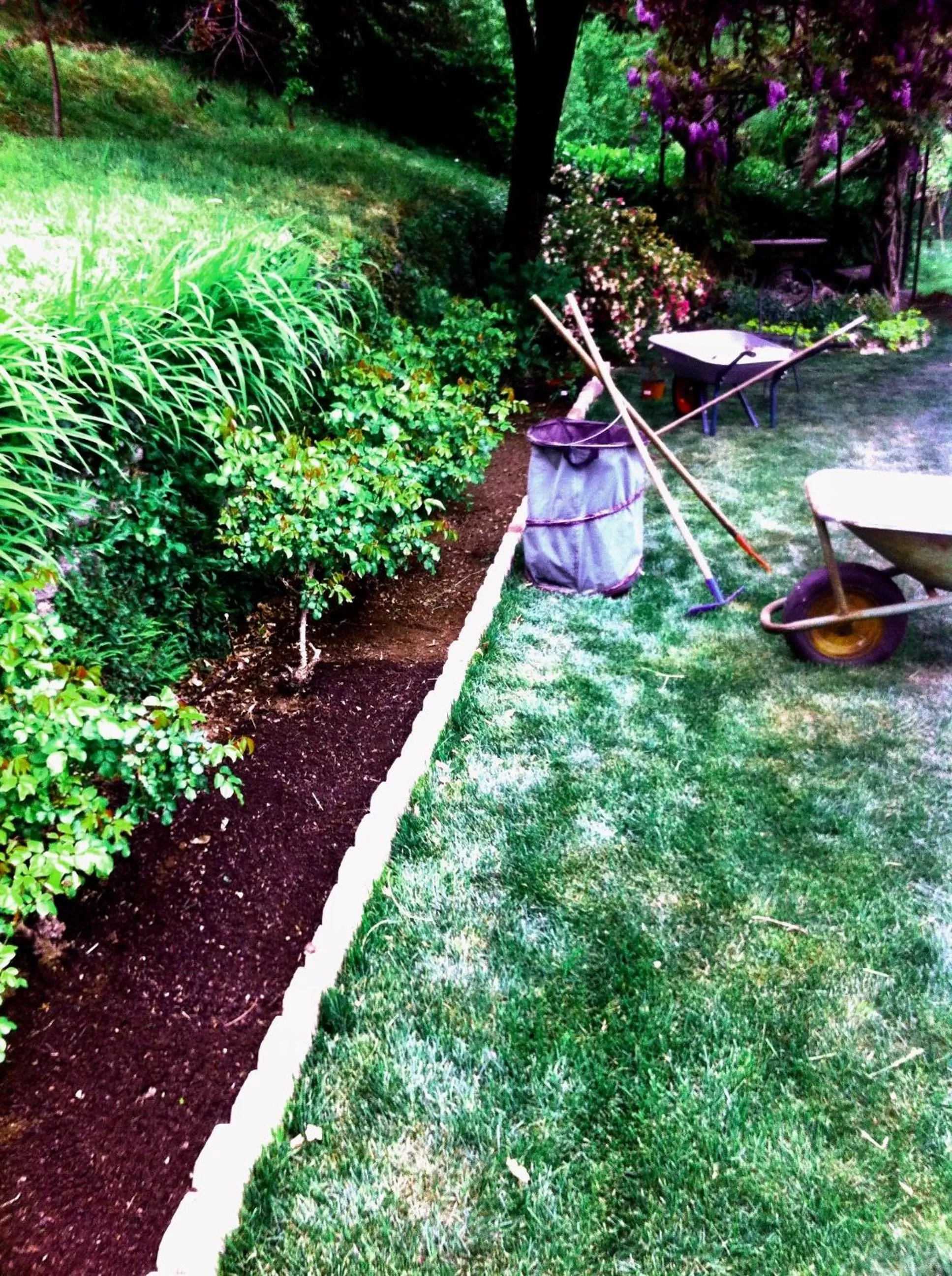 Garden view in Villa Corti