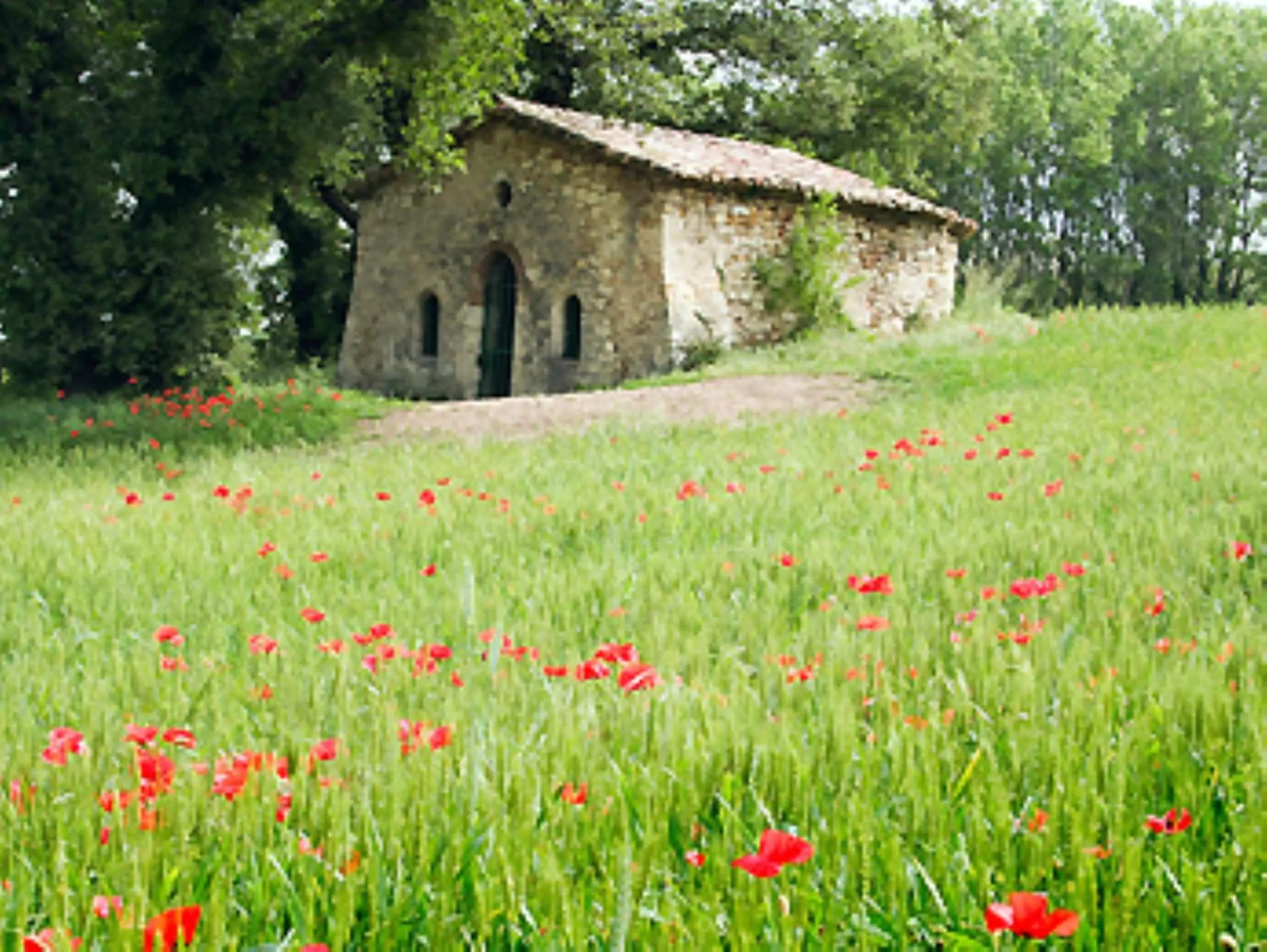 Area and facilities in Ibis Budget Montelimar