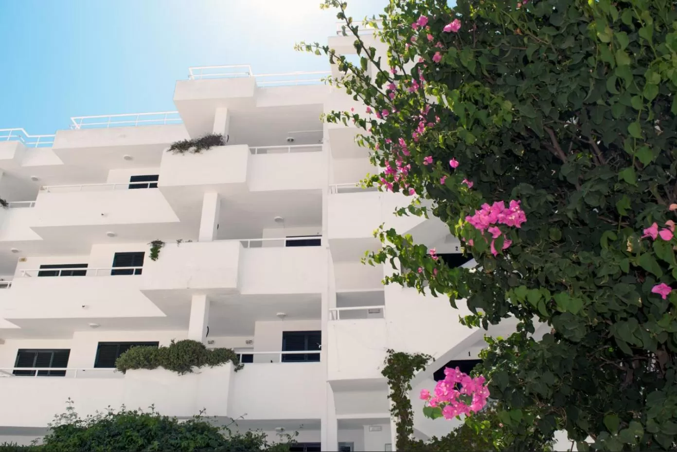 Property building in Camelina Suites