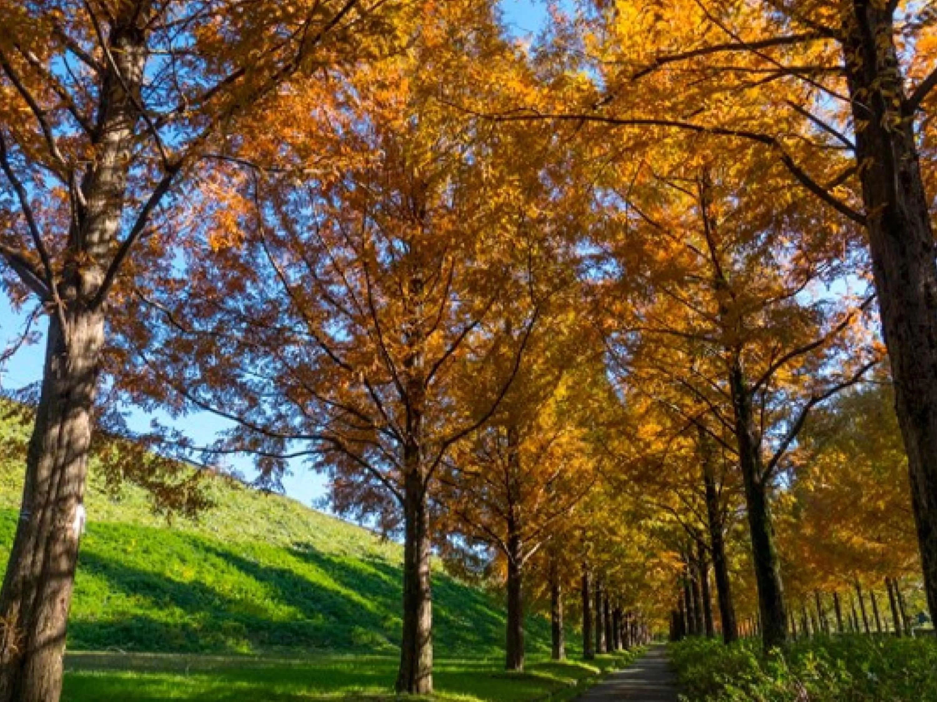 Nearby landmark in Hotel Wing International Premium Kanazawa Ekimae