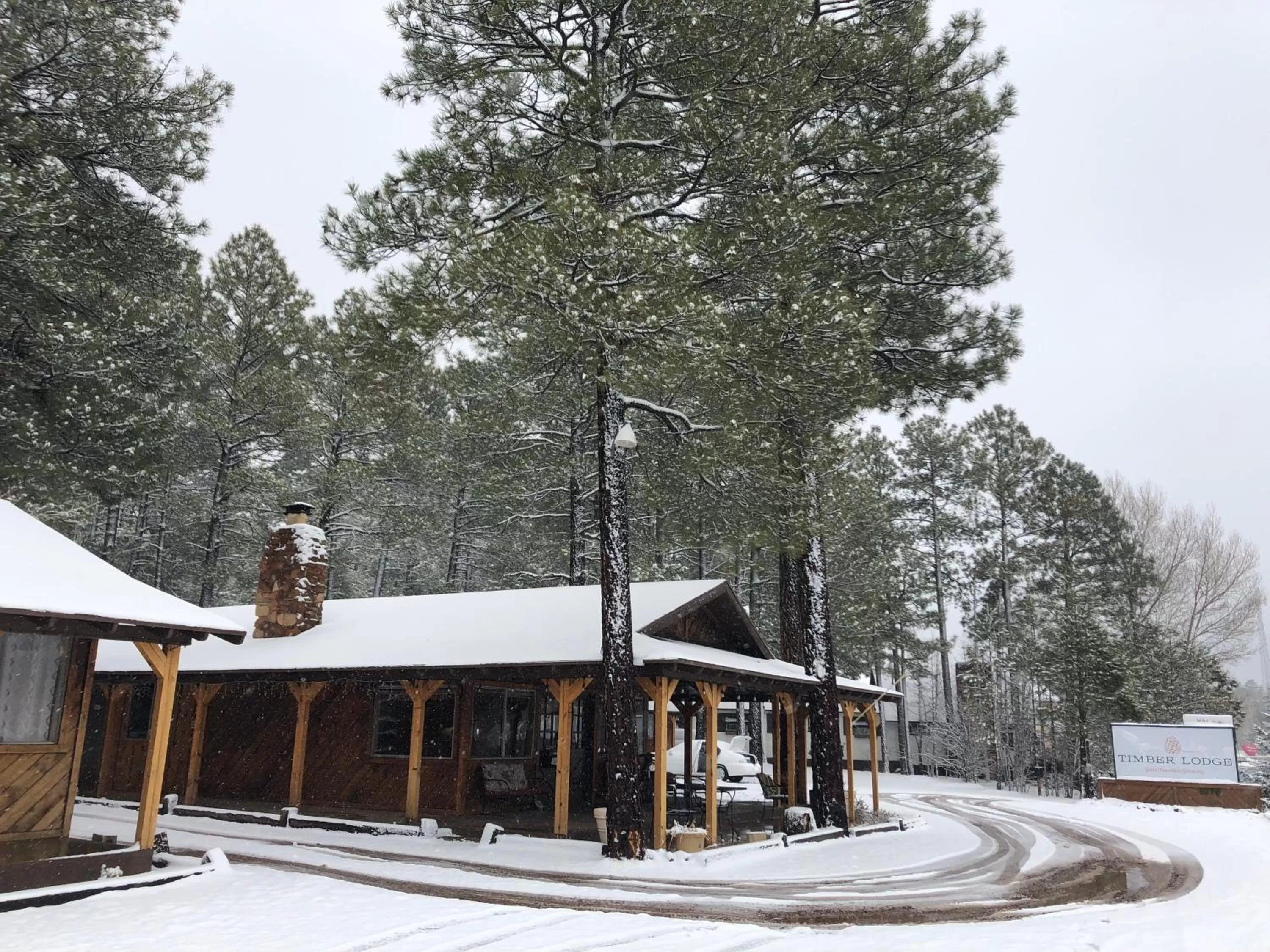 Winter in TimberLodge Inn
