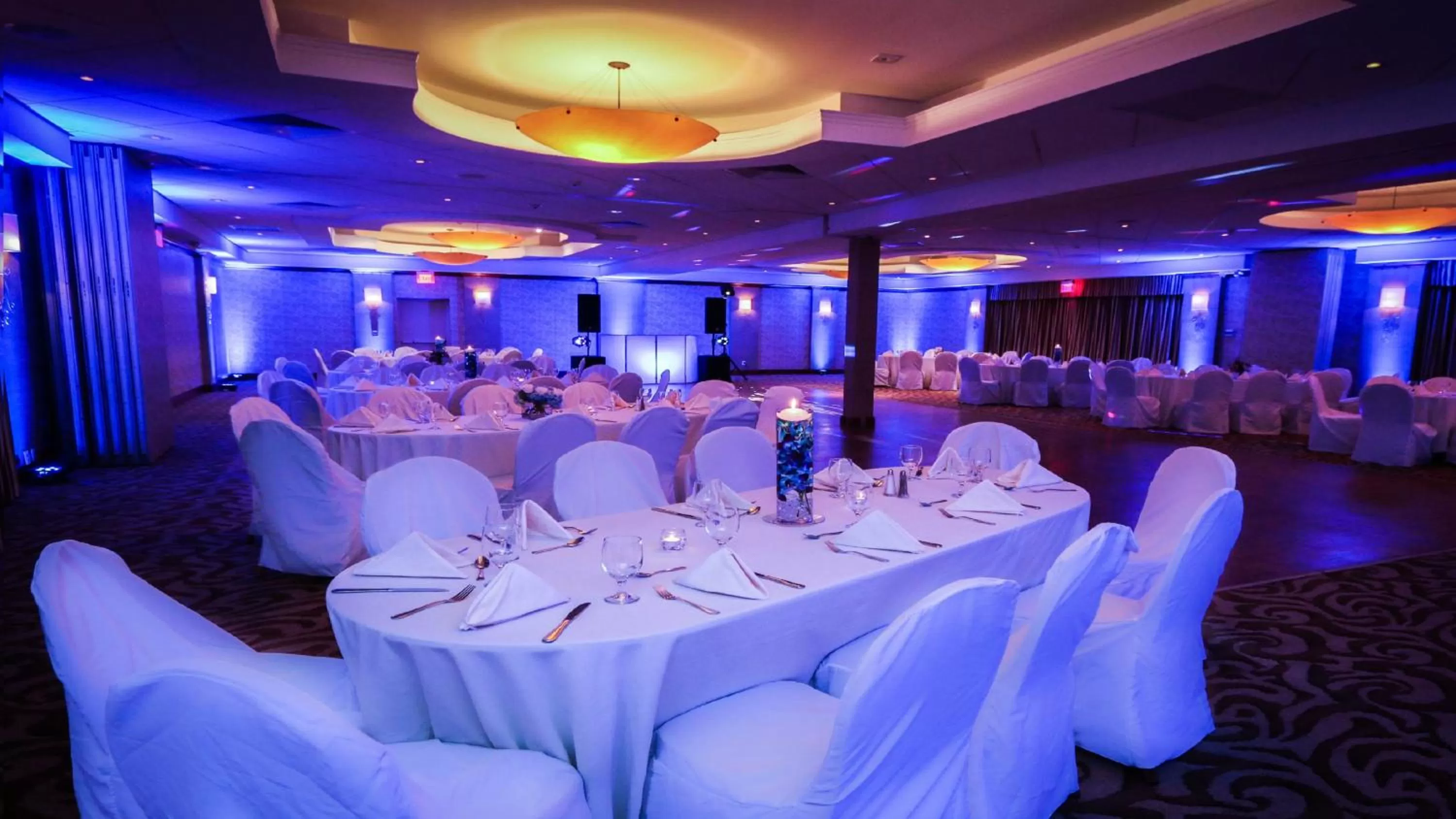 Banquet/Function facilities in Holiday Inn Plainview-Long Island by IHG