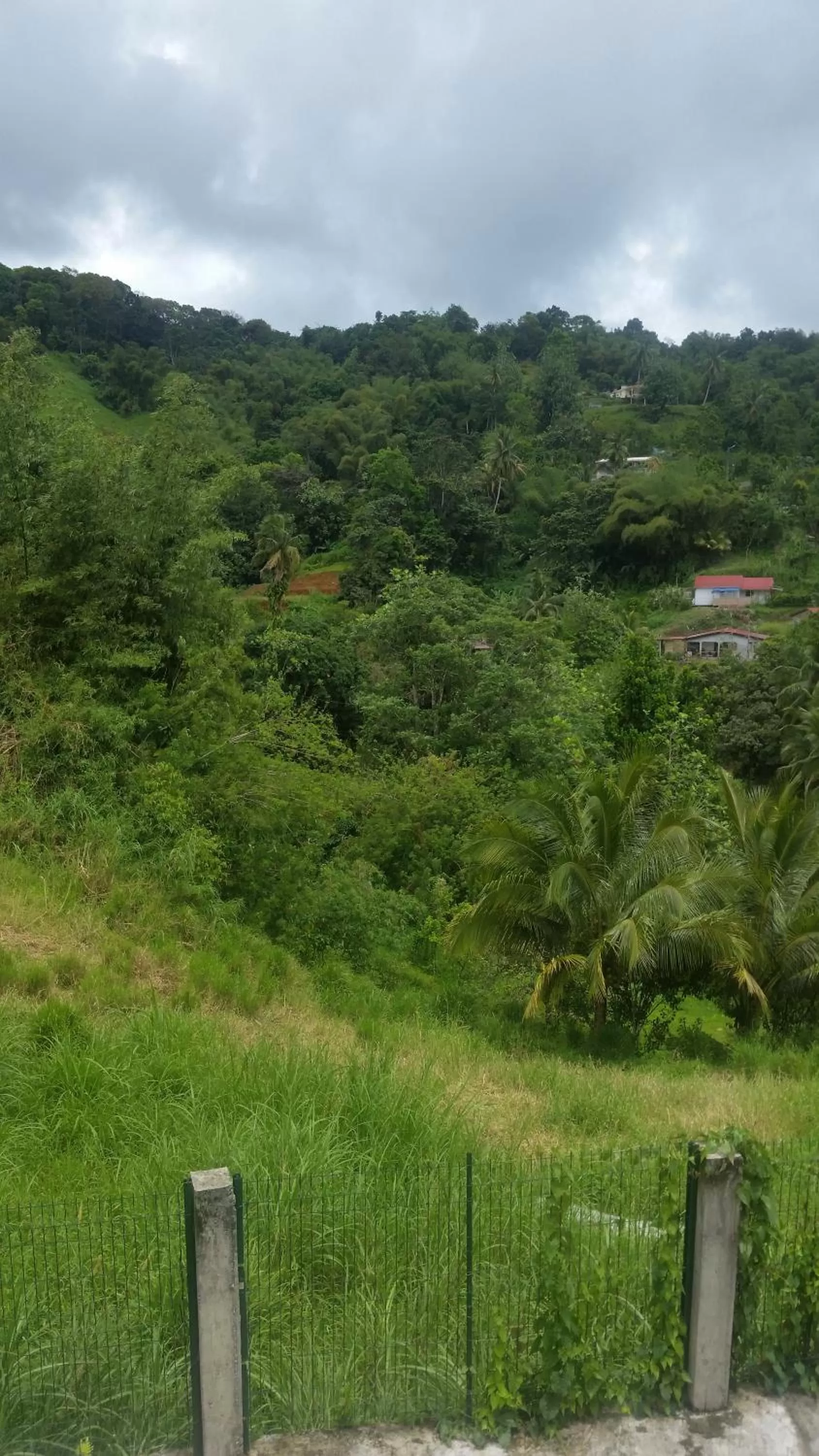 Property building in L'Oliveraie