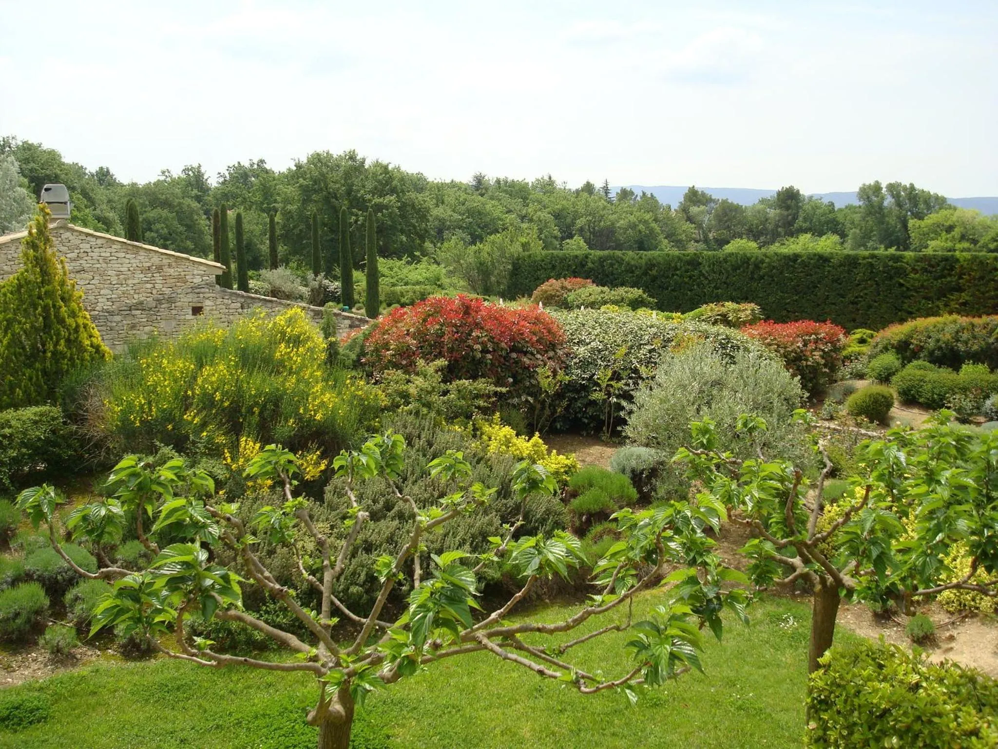 Garden in Mas De La Senancole & Spa