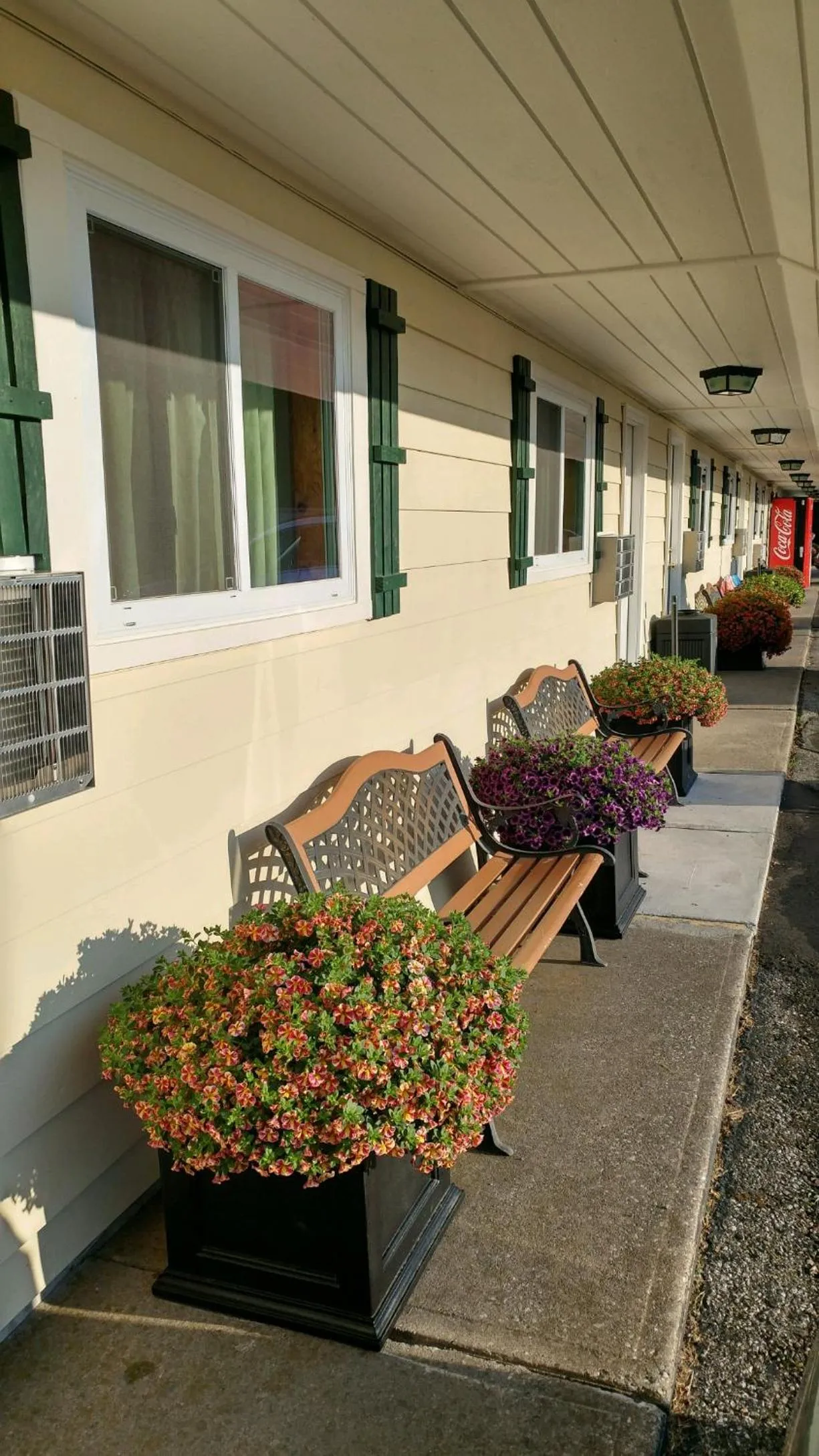 Sunset Motel at Armand's Gardens